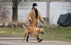 A woman wears a face mask as she walks around Normandale Lake with a dog Monday, April 6, 2020 in Bloomington, Minn. as the use of masks to help reduc