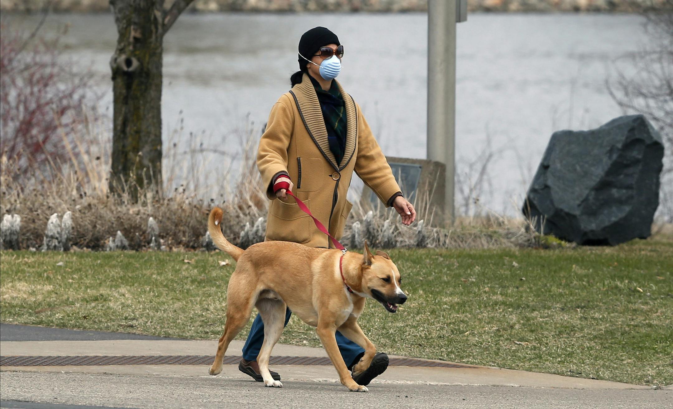 A woman wears a face mask as she walks around Normandale Lake with a dog Monday, April 6, 2020 in Bloomington, Minn. as the use of masks to help reduce the spread of the coronavirus continues. The new coronavirus causes mild or moderate symptoms for most people, but for some, especially older adults and people with existing health problems, it can cause more severe illness or death. (AP Photo/Jim Mone)