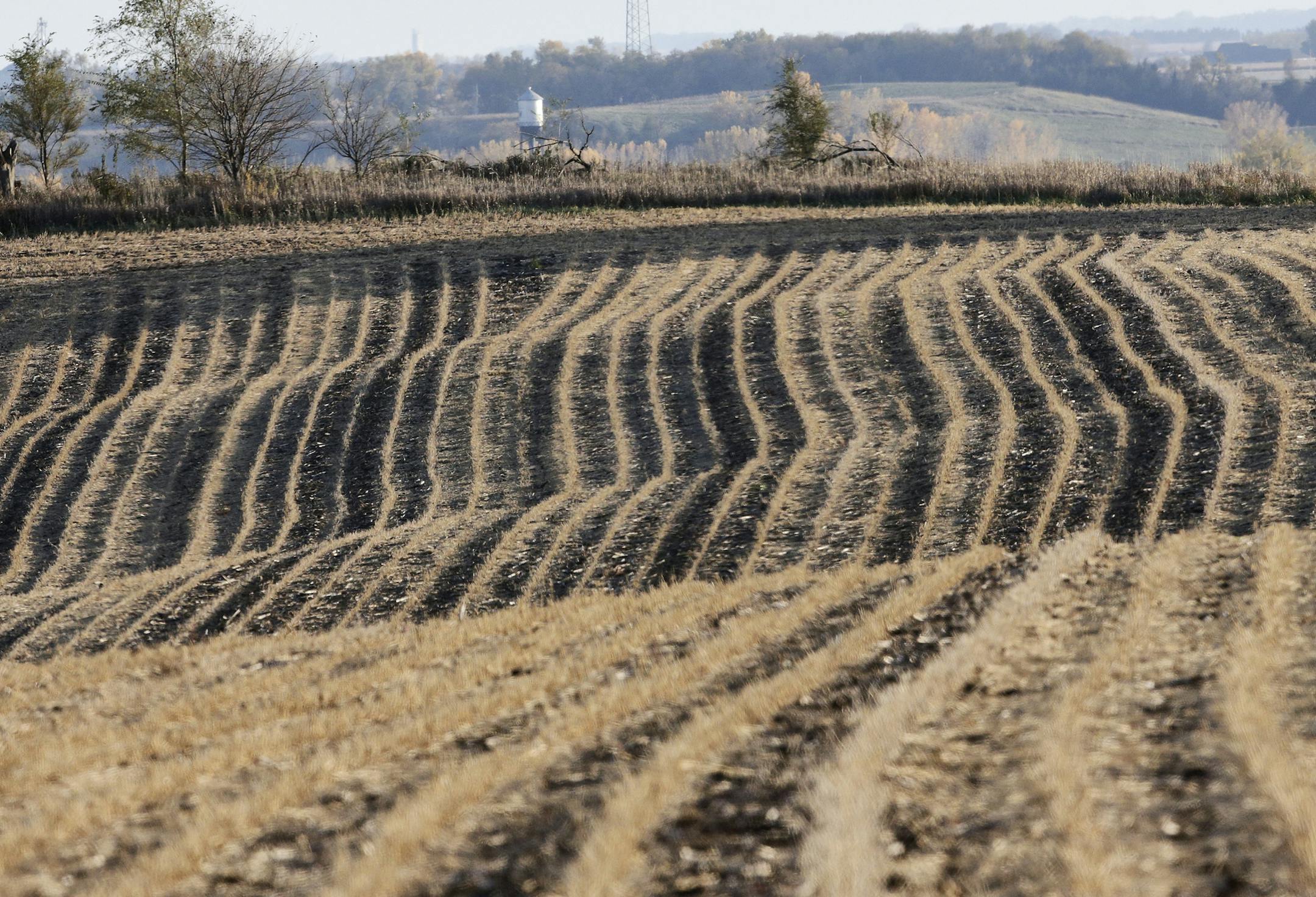In this Oct. 24, 2019 photo, the water tower of Winslow, Neb., is visible a few miles away, past a harvested soybean field. It took only minutes for swift-moving floods from the Elkhorn River to ravage tiny Winslow this spring, leaving nearly all its 48 homes and businesses uninhabitable. Now, the couple dozen residents still determined to call the place home are facing a new challenge: Moving the entire town several miles away to higher ground. (AP Photo/Nati Harnik) ORG XMIT: NENH202