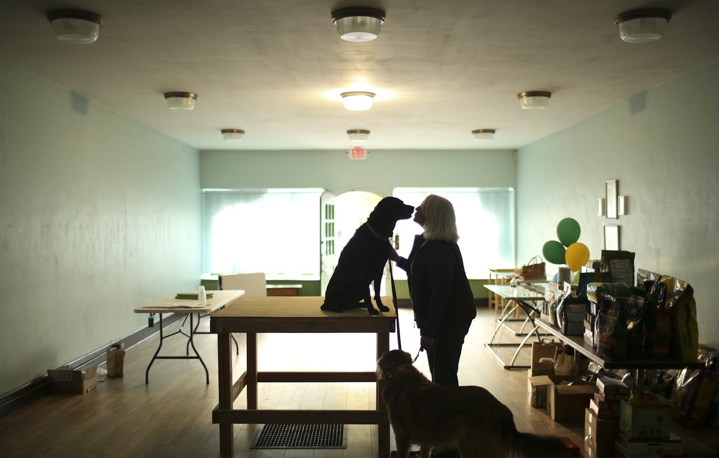 Kim Carrier with her two dogs, Rosie (on the table) and Stella, at People & Pets Together, which will be the state's first dedicated food shelf for pets when it opens, she hopes, by the end of the year. ] JEFF WHEELER &#xef; jeff.wheeler@startribune.com In the height of the Great Recession, Kim Carrier and a band of dedicated volunteers started stocking food shelves with pet food, with the idea that that hungry people shouldn't have to choose between feeding themselves and feeding their pets. He