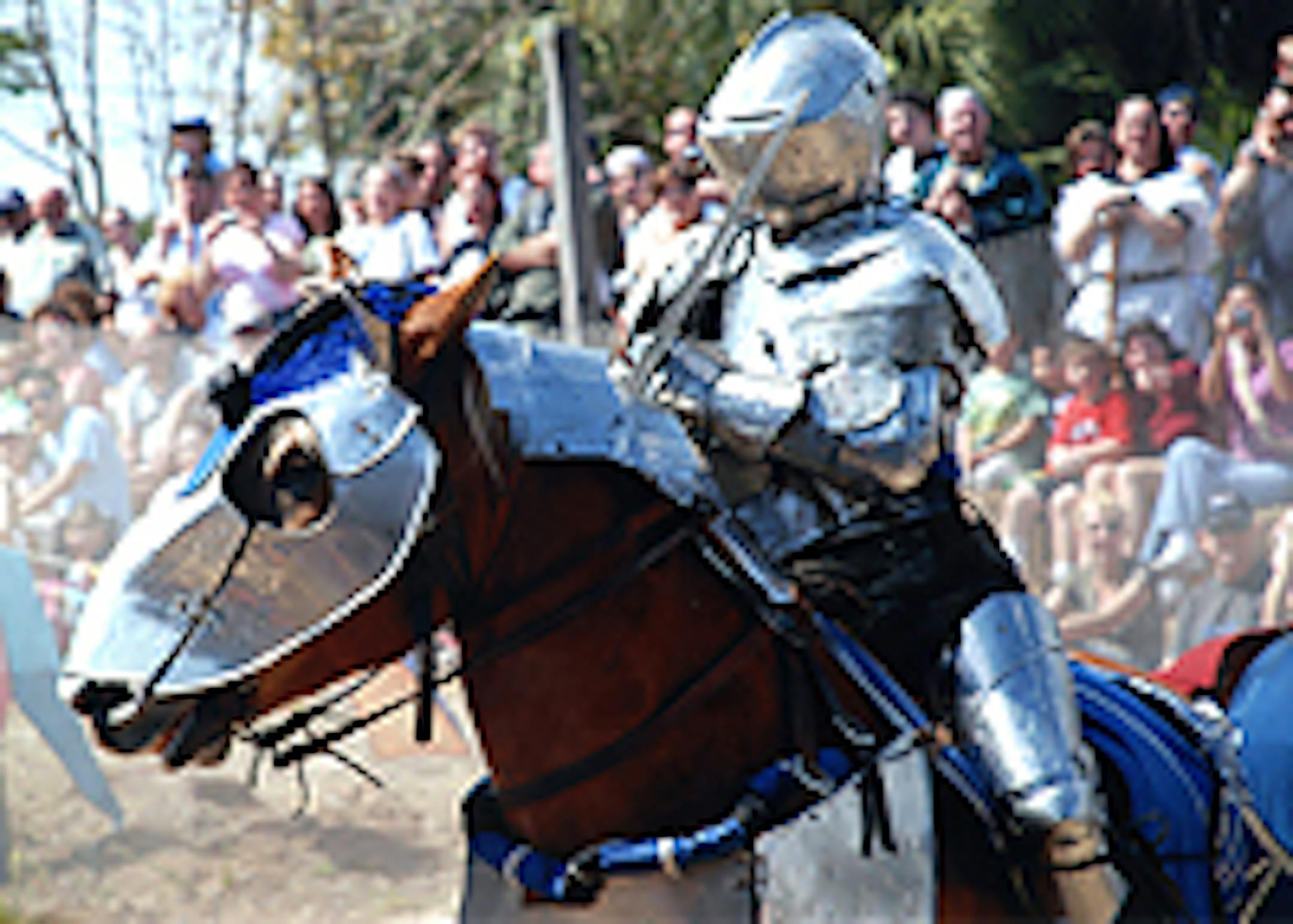 Minnesota Renaissance Festival