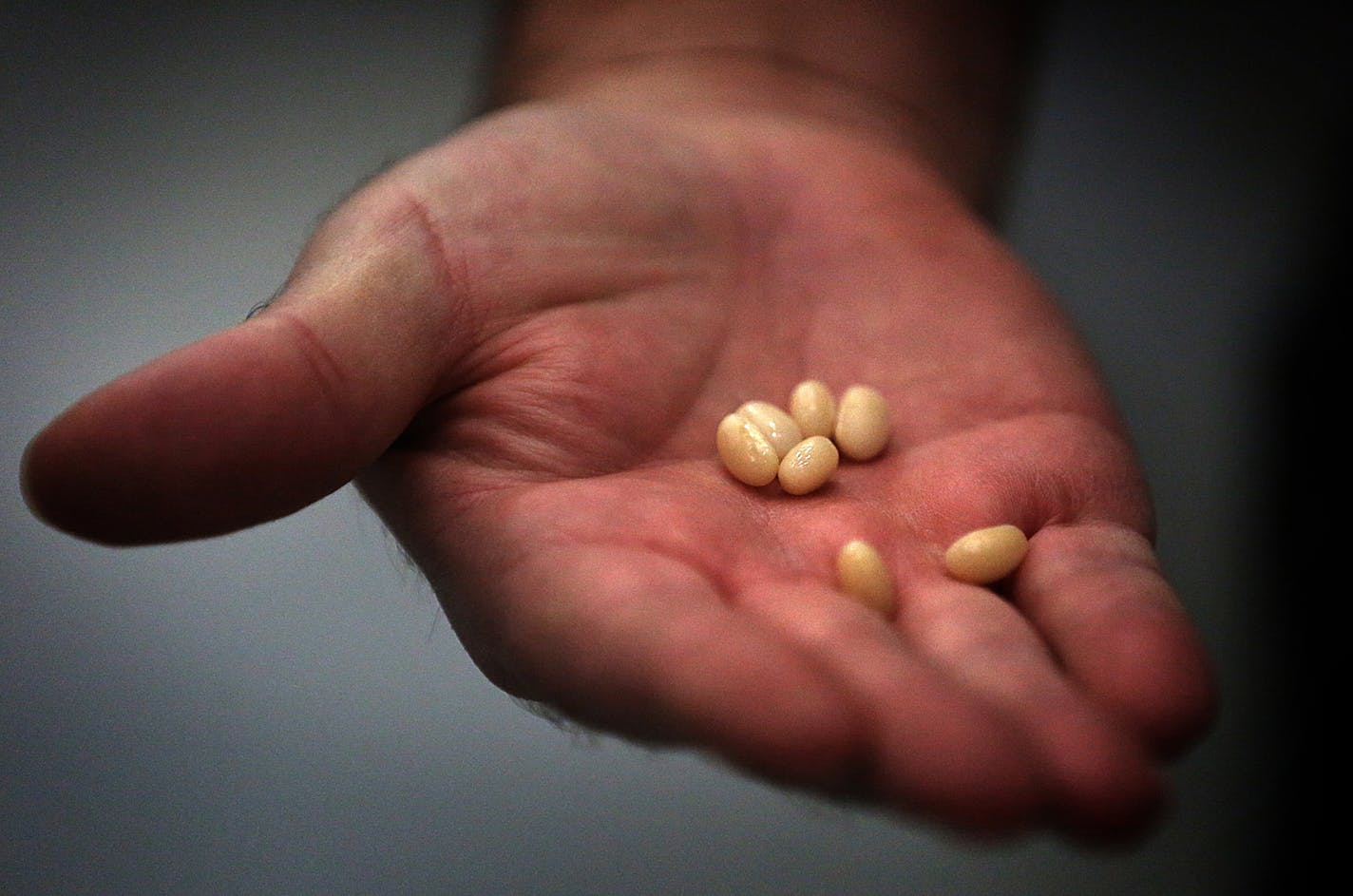 Al Simanovski, director of manufacturing, held navy beans.