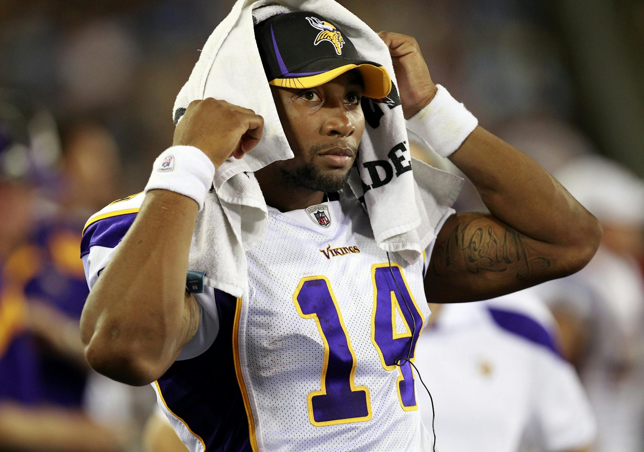 Vikings quarterback Joe Webb (14)