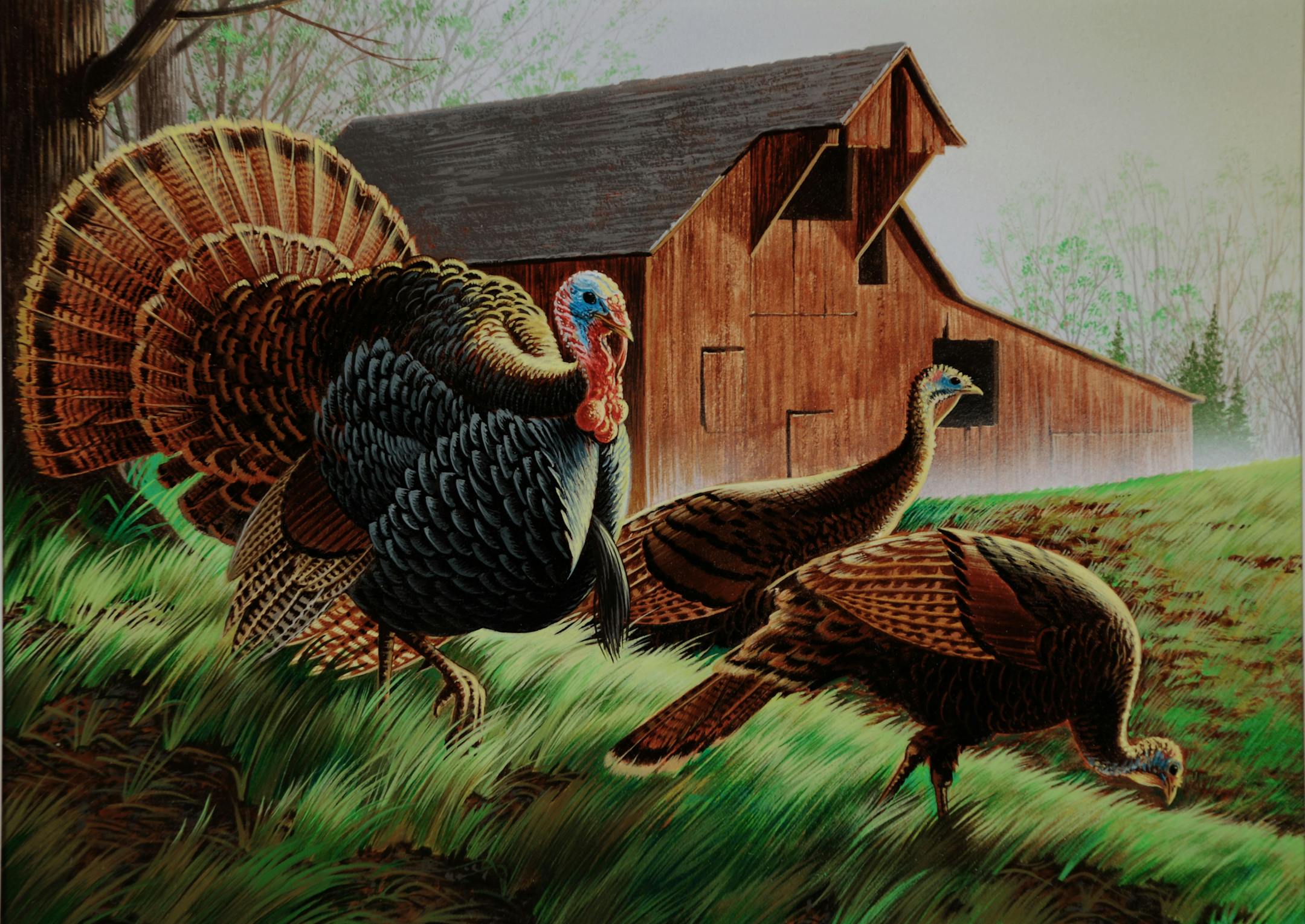 2010 winning turkey stamp