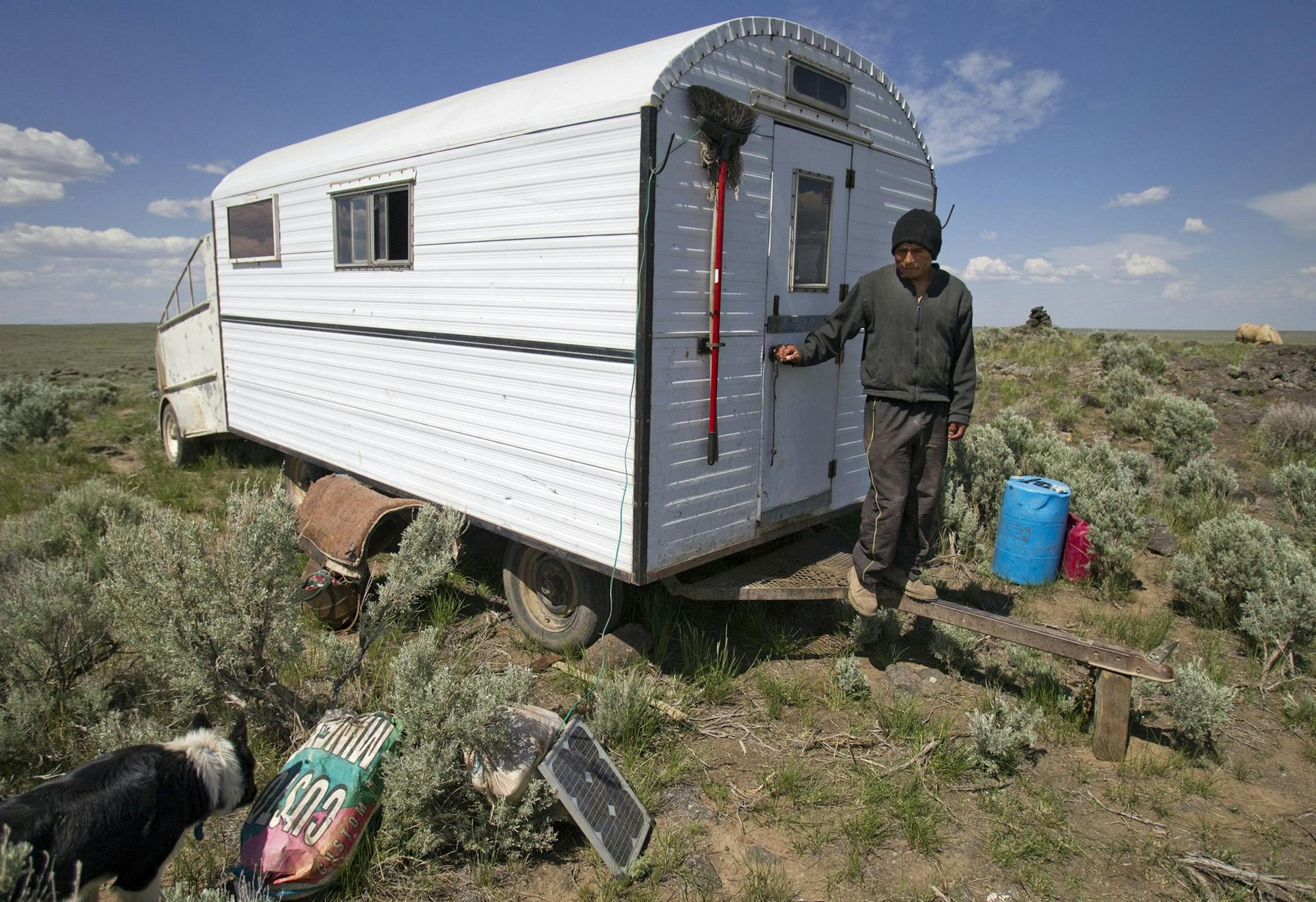 Rosebell Aquino takes a break from herding the sheep of rancher Ken Wixom on land managed by the Bureau of Land Management near Atomic City, Idaho. Because of drought condition the BLM has cut the amount of grazing available to ranchers. (Allen J. Schaben/Los Angeles Times/MCT)