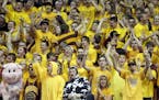 Gophers fans reacted to a three pointer by Andre Hollins in the final seconds of the first half.