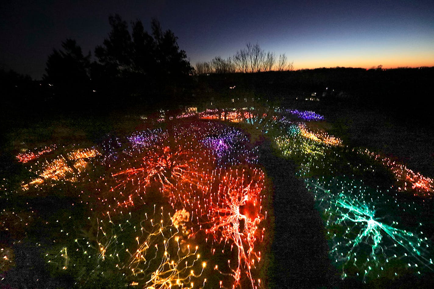 As dusk arrives, tens of thousands of lights blink on at the Minnesota Landscape Arboretum.