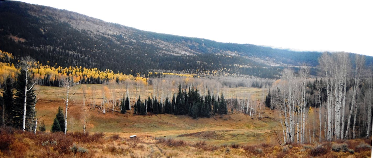 High and beautiful: Elk and deer hunting in the West is popular among Minnesotans in part because of the beauty of the Rocky Mountains, particularly in fall.