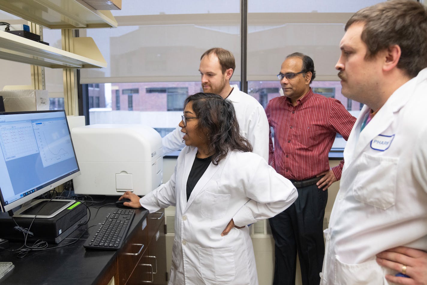 Greeshma Kumpati, a PhD candidate in the integrated biosciences program, reviews data showing the binding efficiency of the compounds of the drug candidates targeting specific protein, which are highly over expressed in cancer cells, Thursday, Jan. 11, 2024, at the University of Minnesota Duluth in Duluth, Minn. She is surrounded by fellow PhD candidate Zachary Gardner, professor Venkatram Mereddy, PhD, and Tanner Schumacher, another PhD candidate, left to right. These four are part of a group at the university that started their own business, Rebase Biotech, to develop drugs to treat various forms of cancer. ]