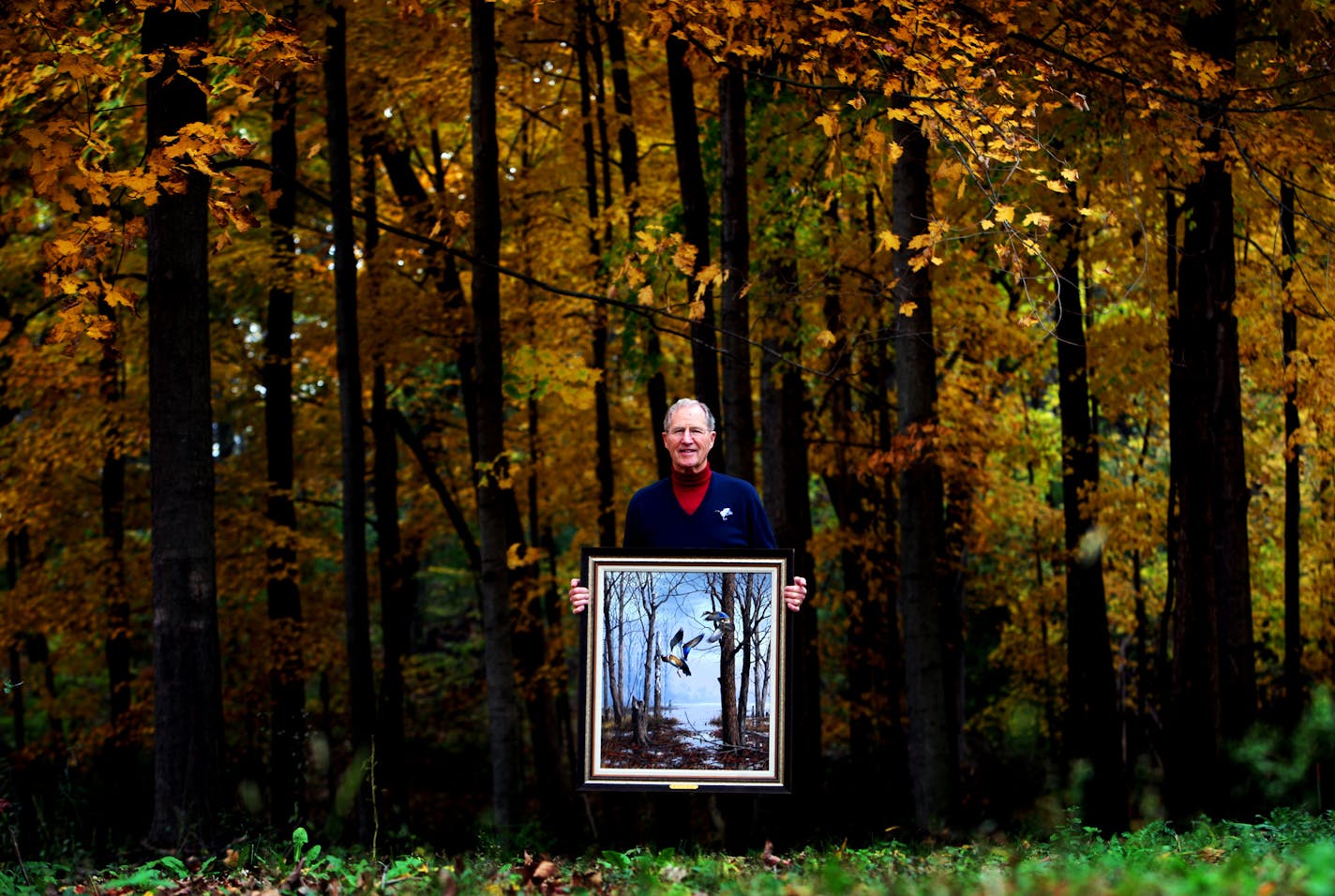 Bill Webster held one of his dozens of original paintings done by past winners of the federal Duck Stamp contest near his home in Frontenac, Minn.