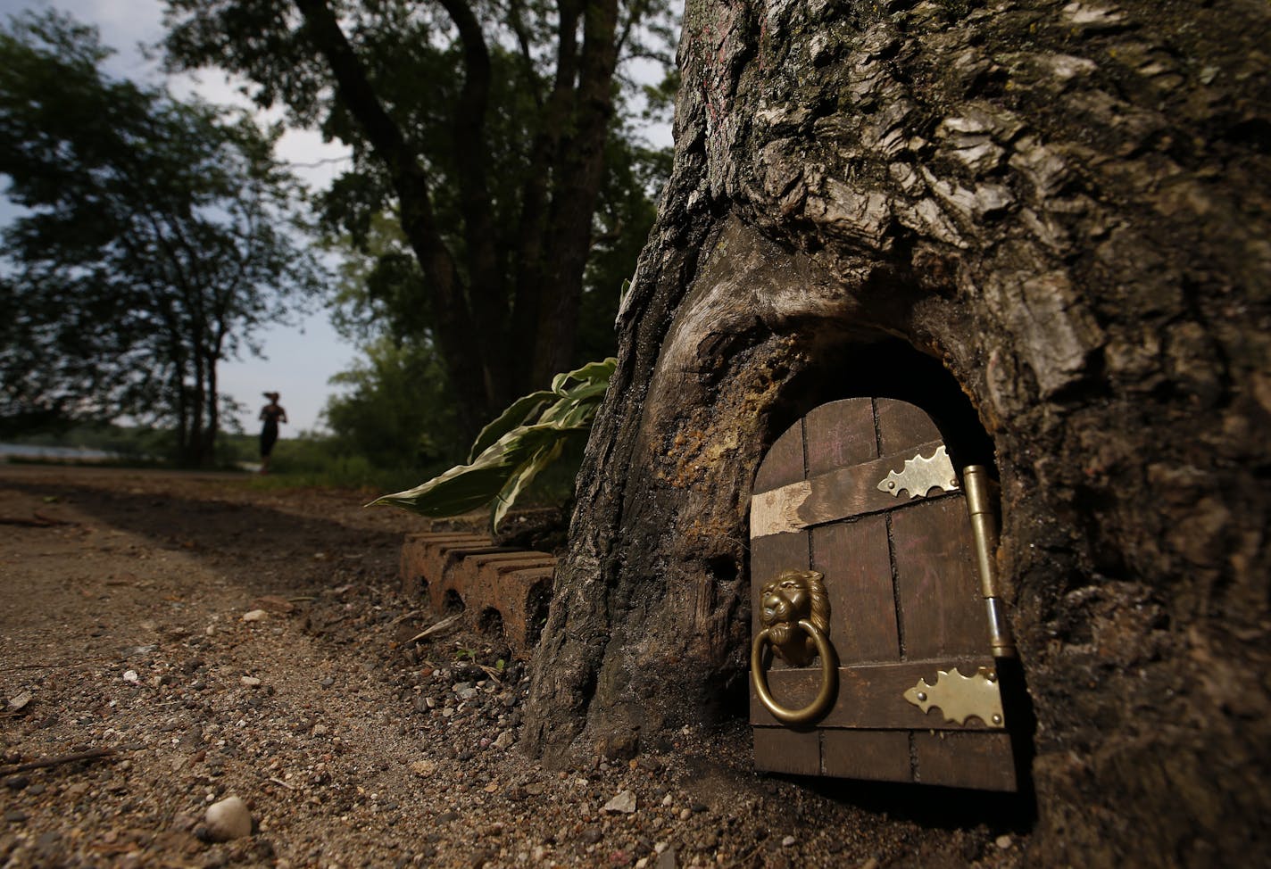 The door of the Lake Harriet Elf House in Minneapolis.