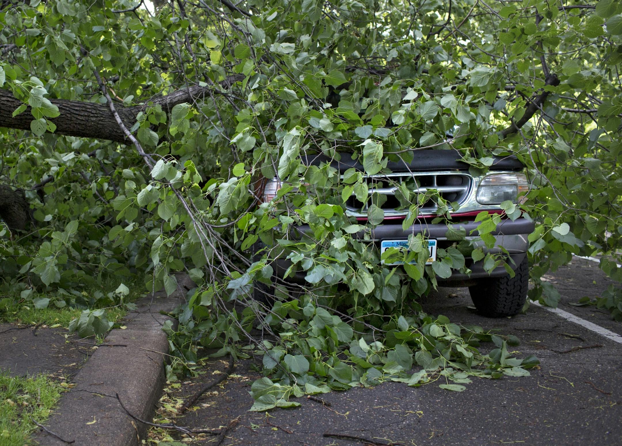 A car sits under a fallen tree after a storm in St. Paul, Minnesota on June 14, 2017.