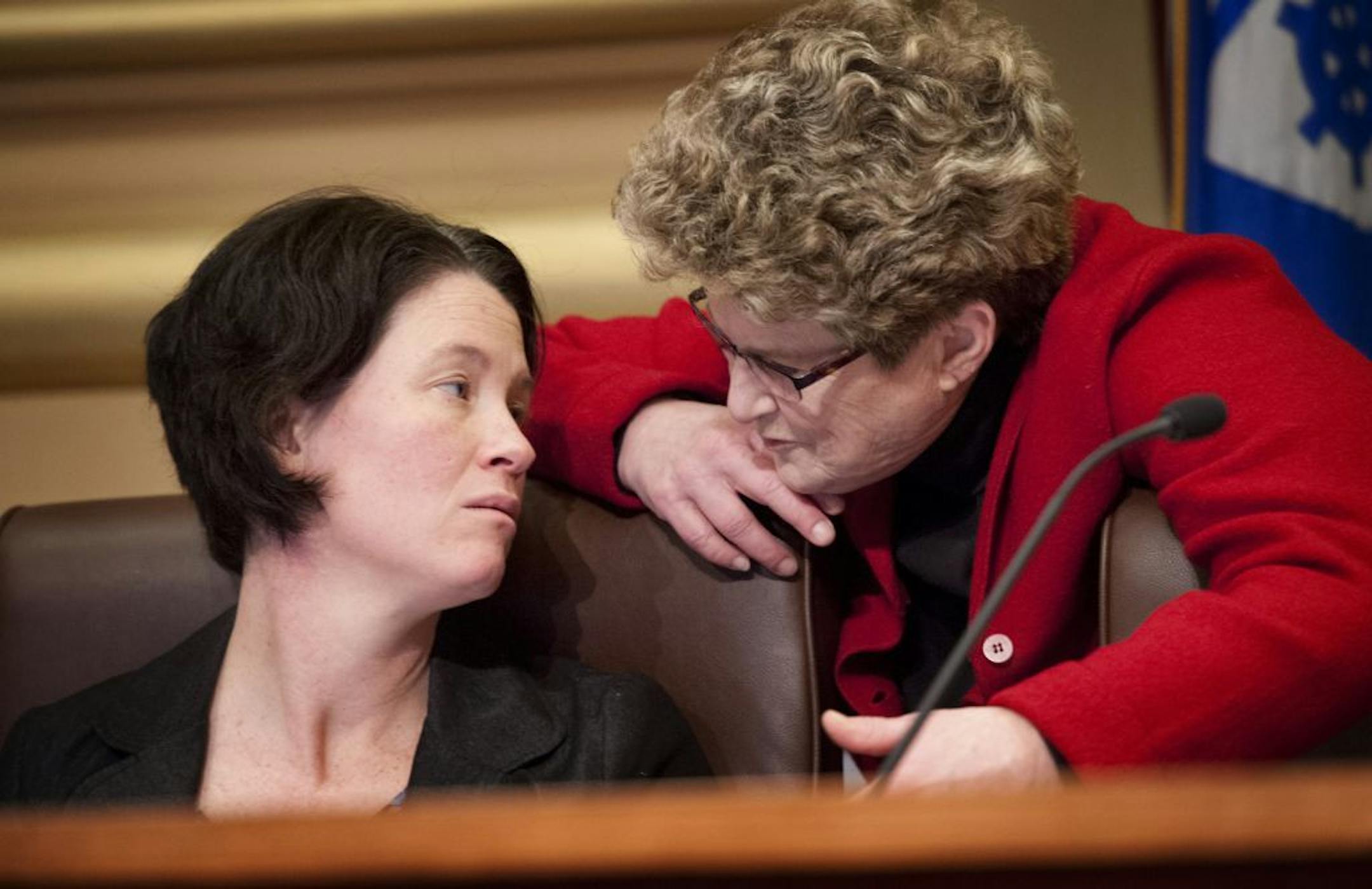 Minneapolis City Council members Elizabeth Glidden and Barbara Johnson spoke during a city council meeting. Thursday, February 23, 2012