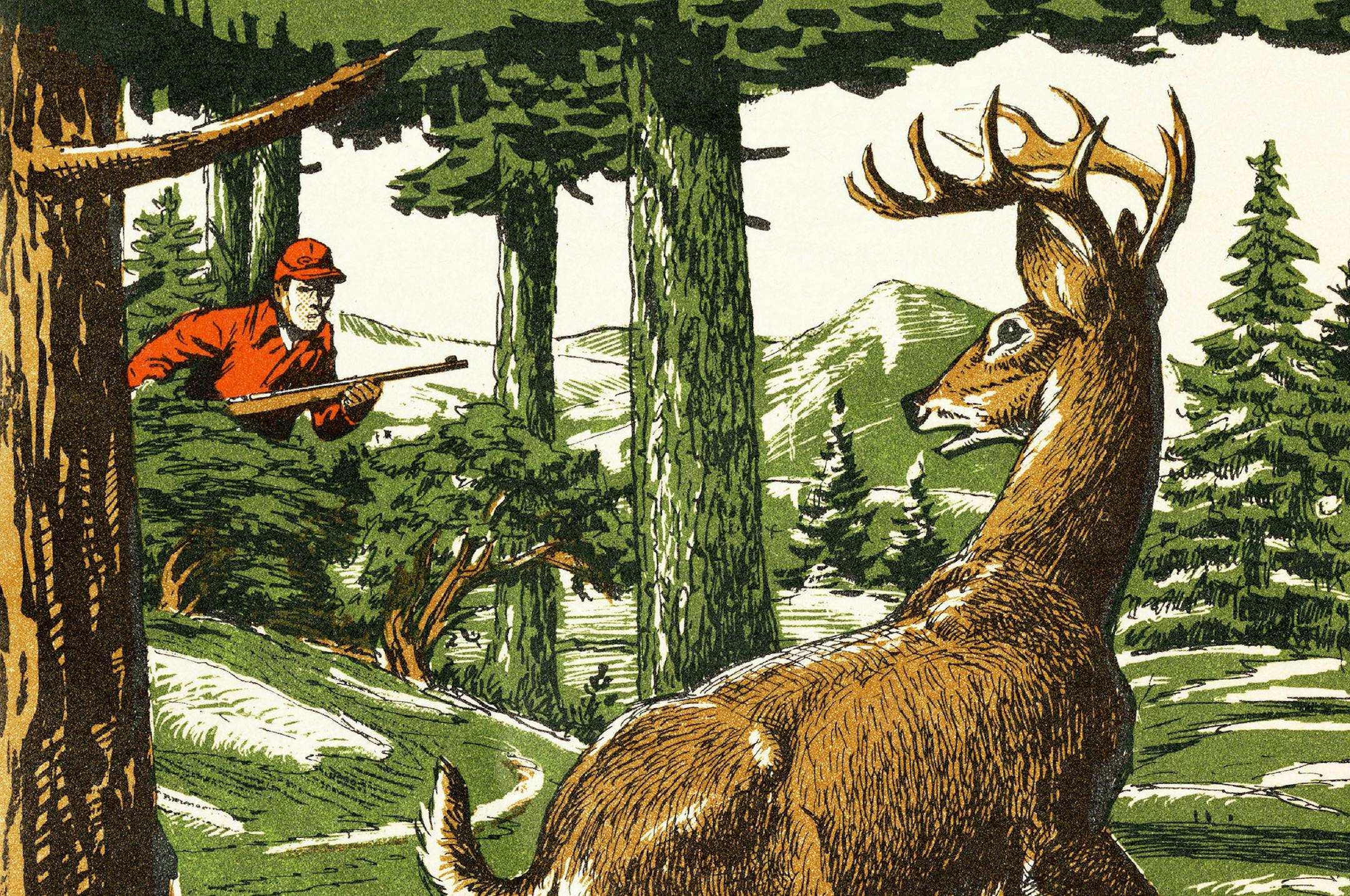 iStockphoto.com Deer and Hunter in the Woods