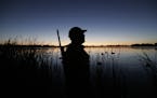 Minnesota duck hunters are fewer. Still many waterfowlers are committed to conservation -- evident by the work of Ducks Unlimited, writes columnist De