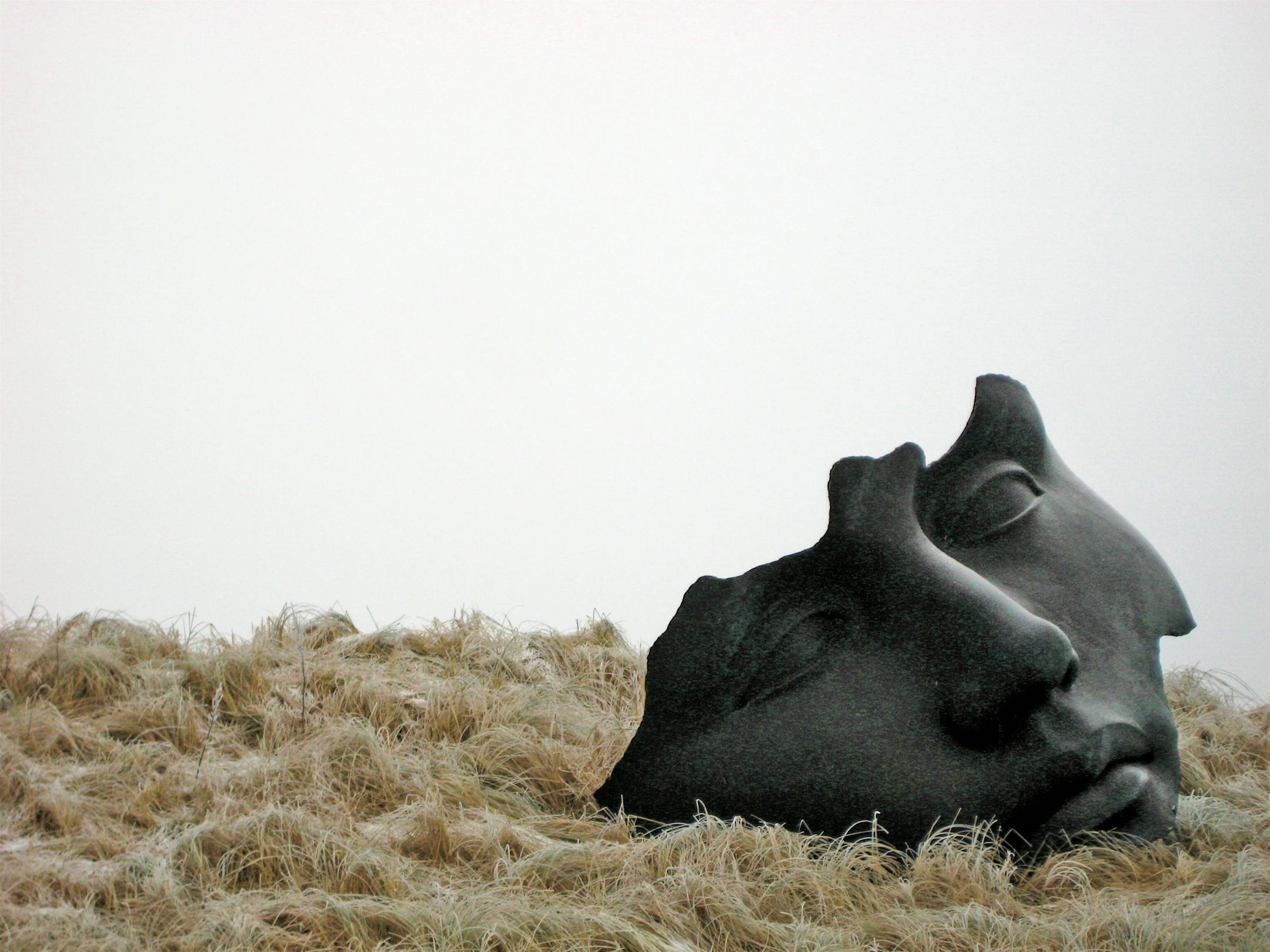 The traveler: Andrew Lilja of Maplewood. The scene: This otherworldly sculpture by Igor Mitoraj rests on the dunes near the Hague in the Netherlands, where Lilja, 16, was visiting with his family. "From a distance it looked like a black amorphous lump but when you got closer you could see that it was like a mask that had been stuck in the ground," he said. "It was a very powerful scene with the gray sky behind it."