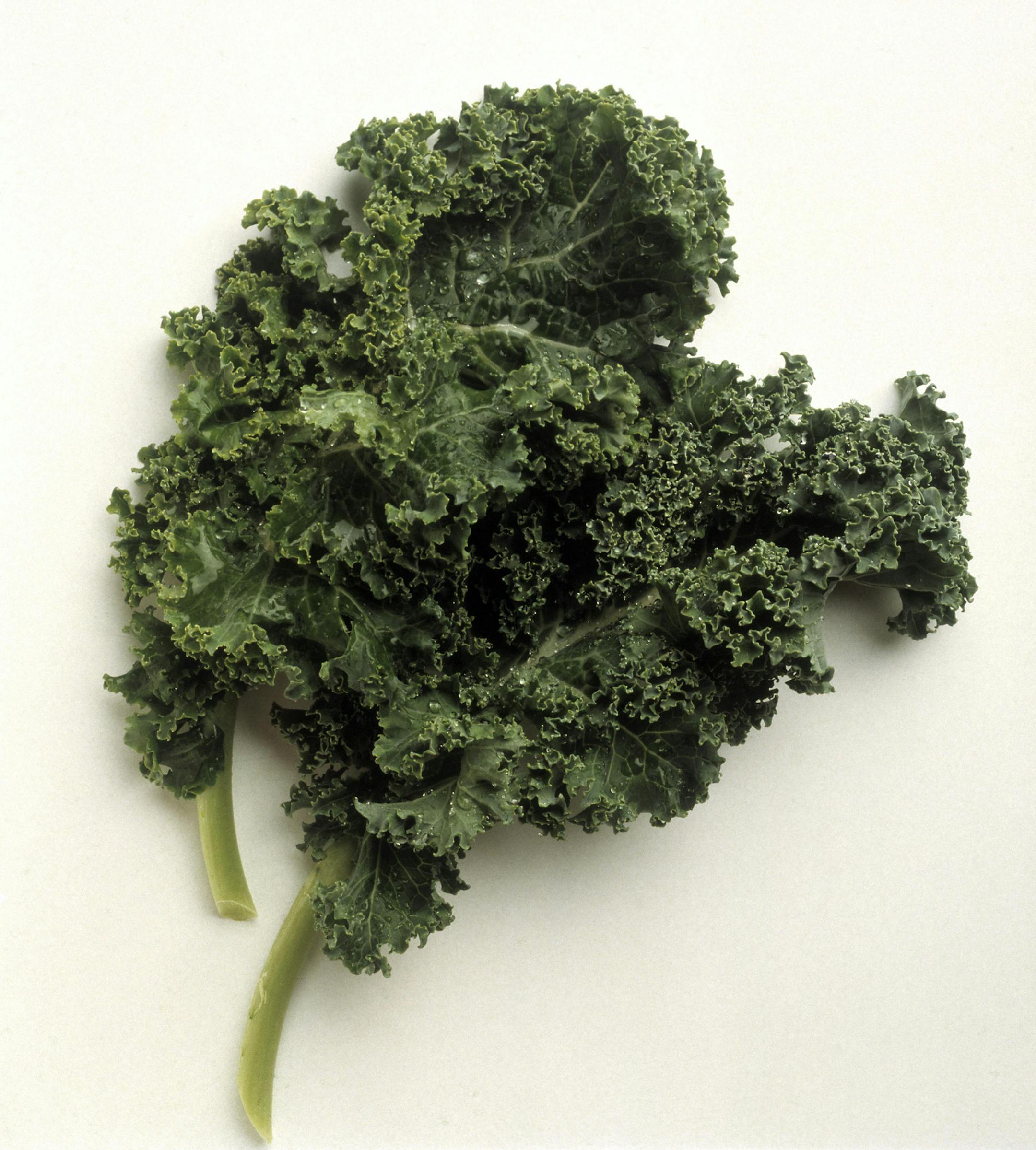 Fresh Kale, from stockfood.com