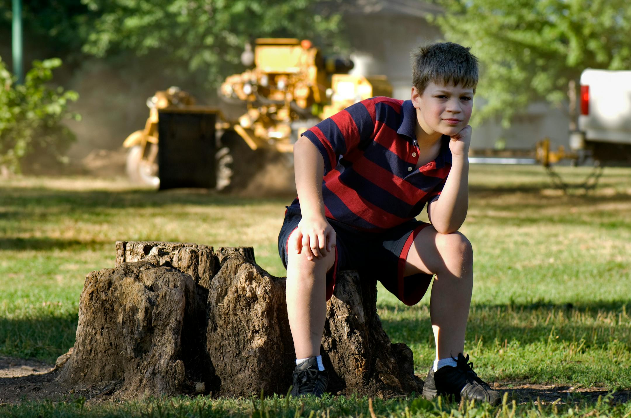Phillip Snoxell, 10, became alarmed when the city of St. Paul made plans to grind a beloved stump into sawdust. With the help of his family and friends, he successfully petitioned the city to save what is a meeting place for neighborhood kids, and a centerpiece for games.