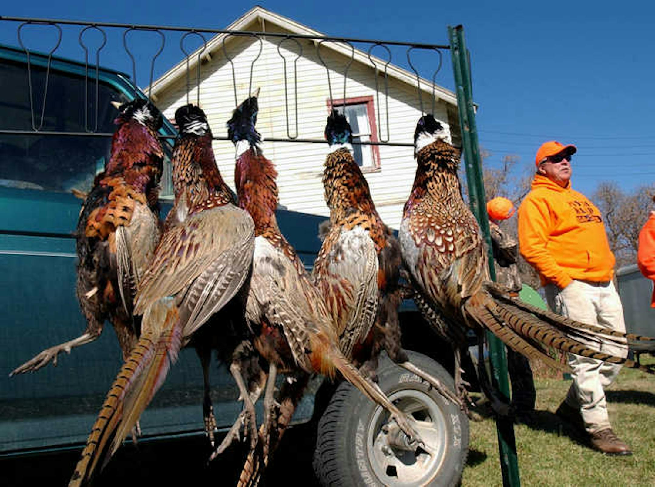 Pheasant hunters