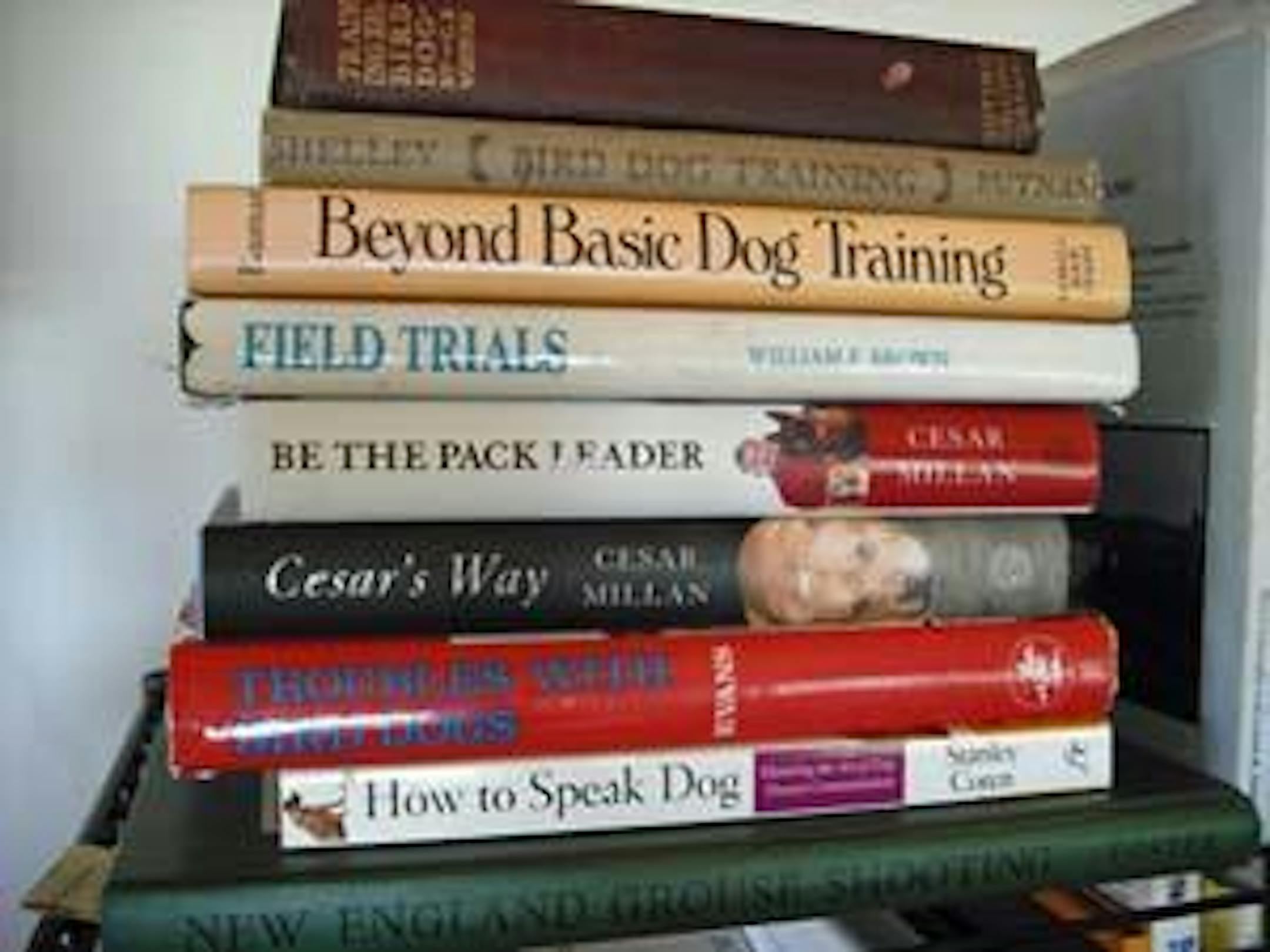 My favorite dog books.