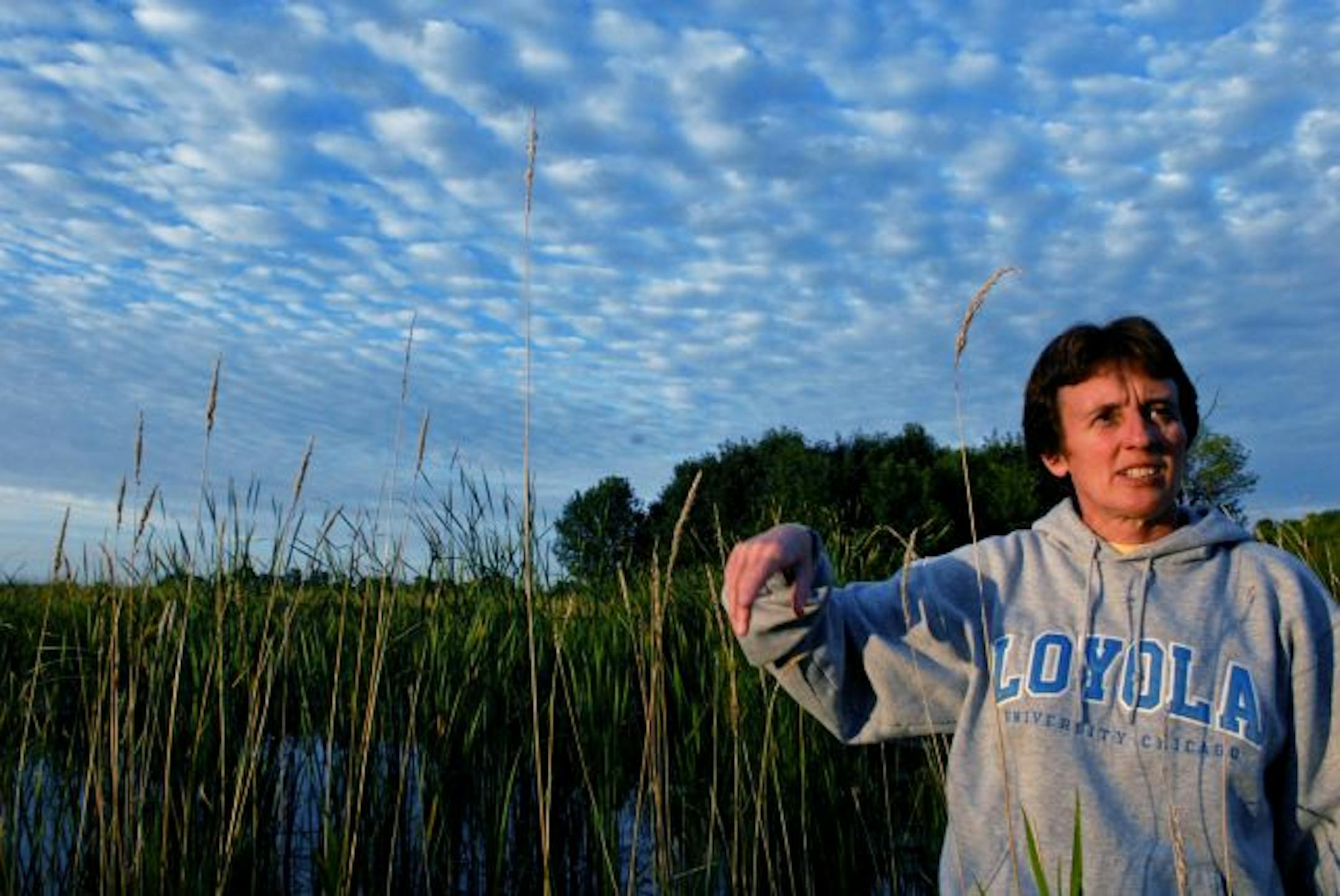 Minnesota DNR wildlife manager Wendy Krueger explained the complicated and successful rebuilding of Lake Maria in southwest Minnesota. The lake was once one of Minnesota's premier waterfowl lakes before devolving into a soupy, carp-infested slough. The lake now boasts the bountiful vegetation that surrounds Krueger.