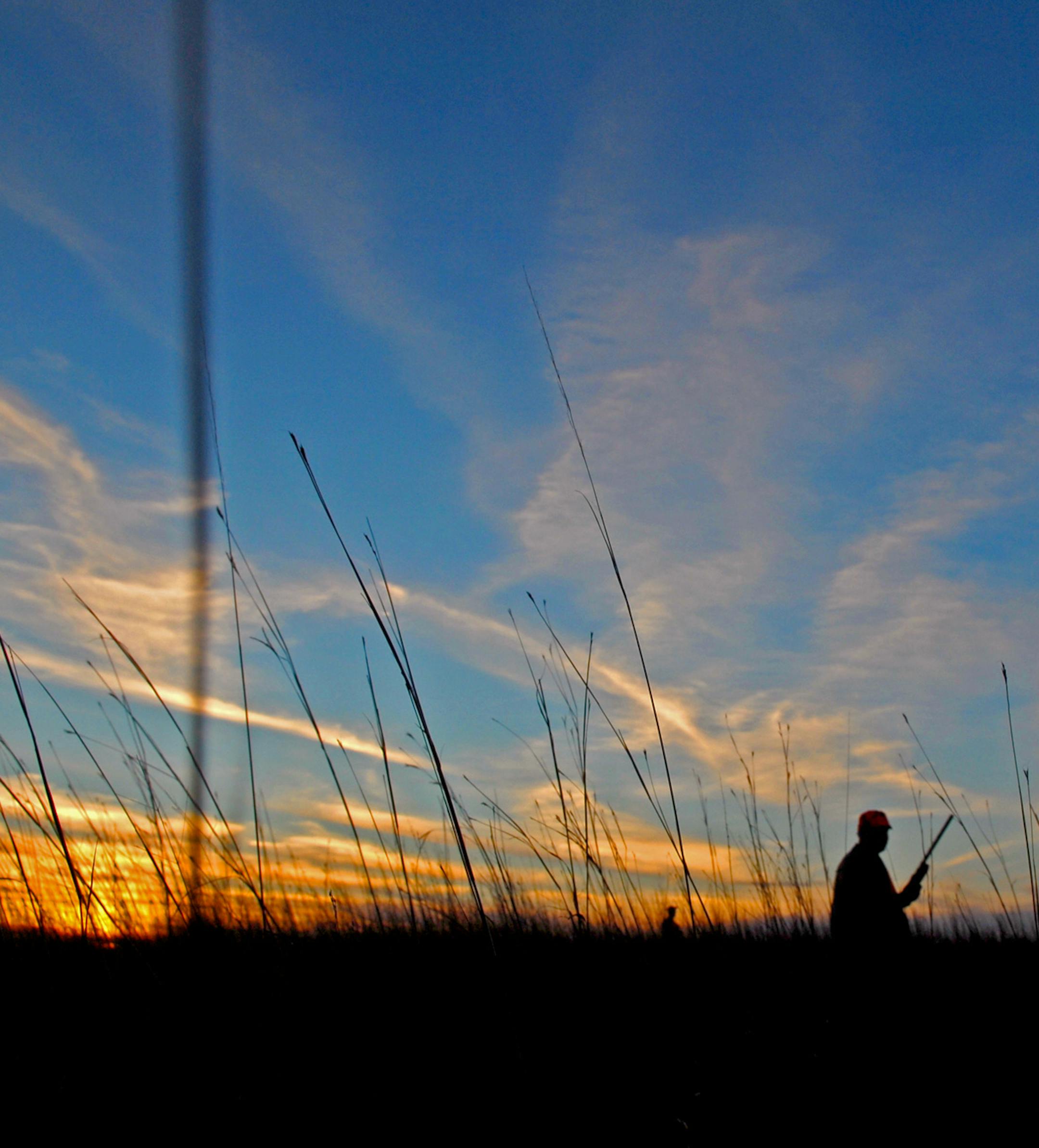 Hiking grasslands in hopes a rooster pheasant might flush skyward, cackling, is one of life's great joys, especially on an unusually temperate December afternoon. ORG XMIT: MIN1212071120290045 ORG XMIT: MIN1310242356402554