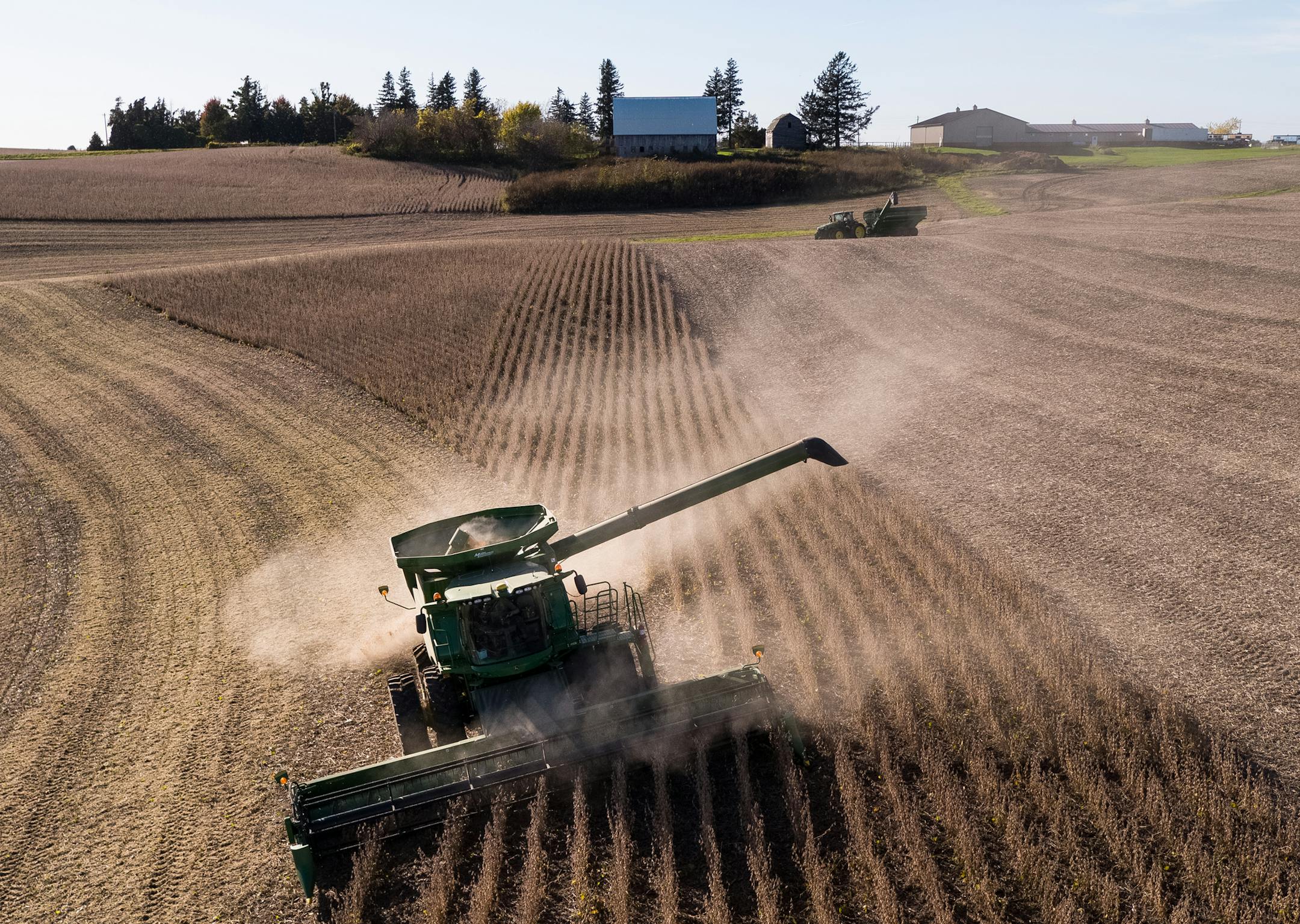 Steve Carlson, with Carlson Farms, harvest soy beans in his combine on Tuesday, Oct. 17, 2017 in Welch, Minn. ] AARON LAVINSKY ï aaron.lavinsky@startribune.com