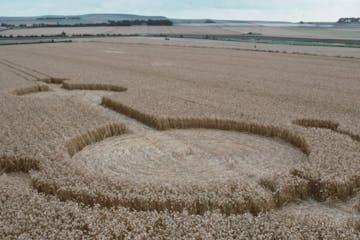 Cornfield patterns -- corn cirlcles -- are believed to be created by aliens. This photo is for the Learning Channel's television "U.F.O." which is par