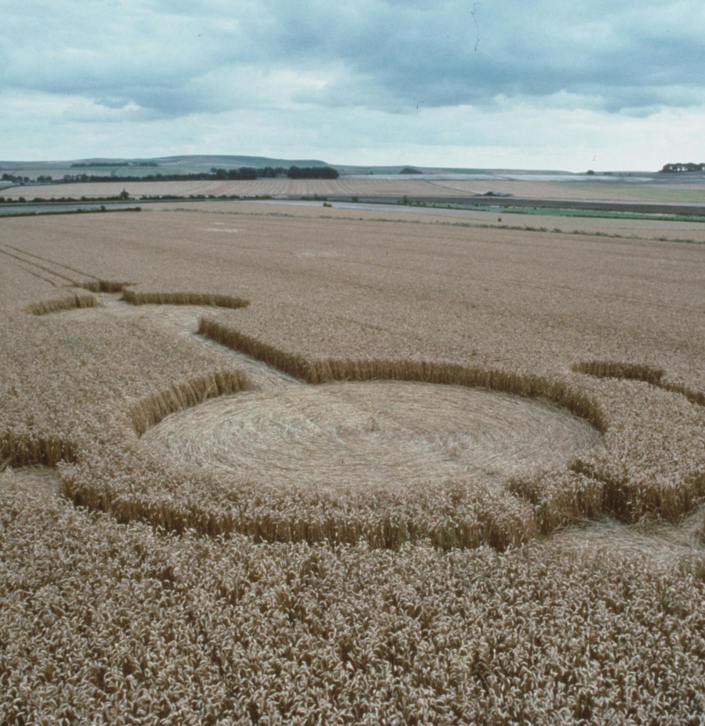 Cornfield patterns -- corn cirlcles -- are believed to be created by aliens. This photo is for the Learning Channel's television "U.F.O." which is part of the station's "Alien Invasion Week." Photo by FPG International provided by TLC.