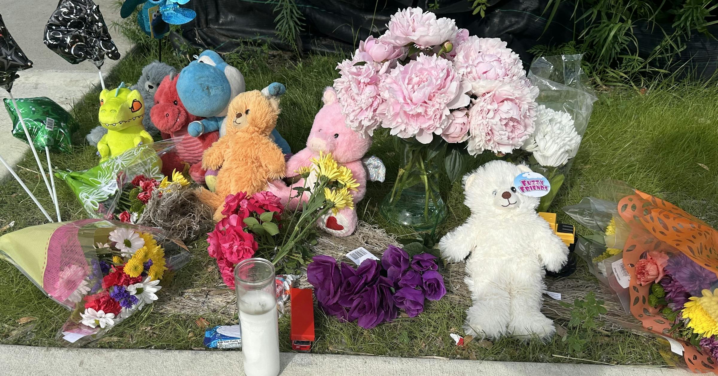 Hopkins police find body of missing 4-year-old Waeys Ali Mohamed