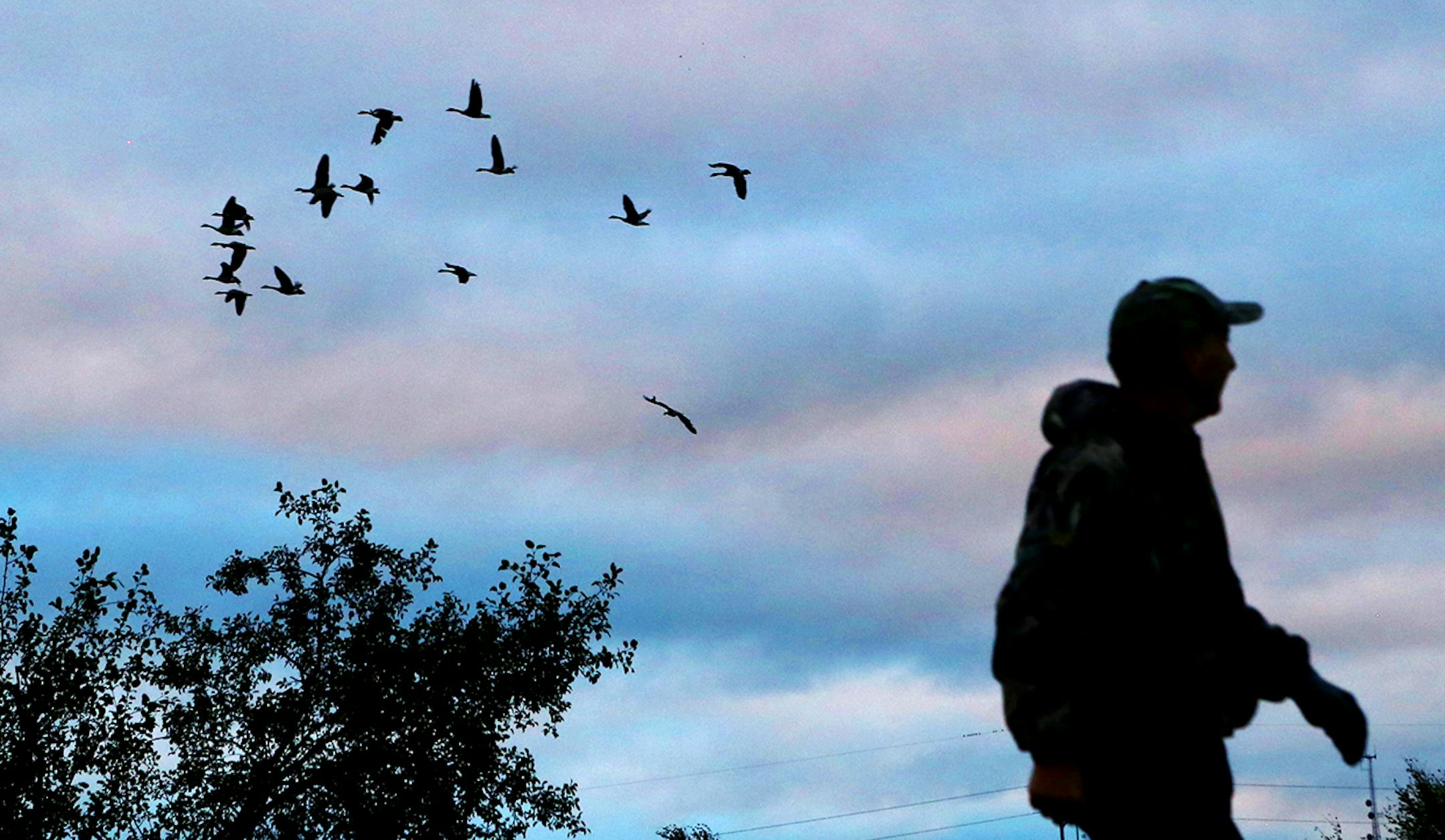 Goose hunter Wendell Diller intentionally reveals himself to a flock of honkers he considers too large to target. He shoots only birds that fly over his decoys as singles, pairs or triples. That way he doesn't "educate'' the area's larger population of geese that the area is a threat. This allows him to hunt repeatedly on the same grounds throughout the season.