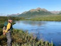 In this 2021 photo provided by Tom Kizzia, Dale Chorman stands in the mountains of the Togiak National Wildlife Refuge in Alaska. Chorman was killed b