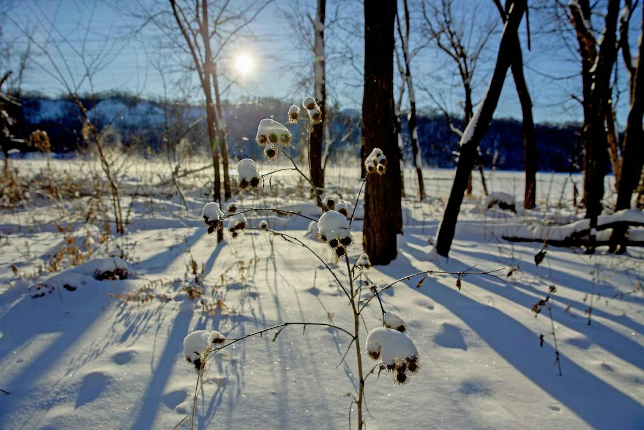 Steam rose over the river with the accumulated snow along the trails in the Lilydale Regional Park area, Friday, February 8, 2019 in St. Paul, MN.