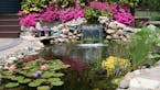 Minnesota Water Garden Society Pond and Garden Tour, July 30-31. Site L in Woodbury. Provided by MWGS