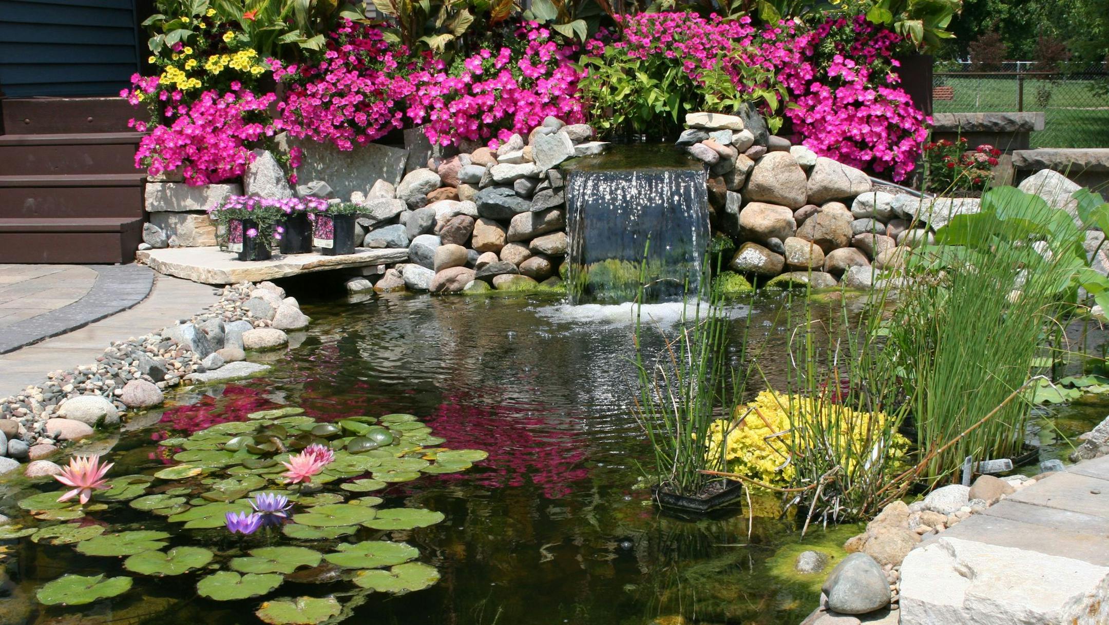 Minnesota Water Garden Society Pond and Garden Tour, July 30-31. Site L in Woodbury. Provided by MWGS