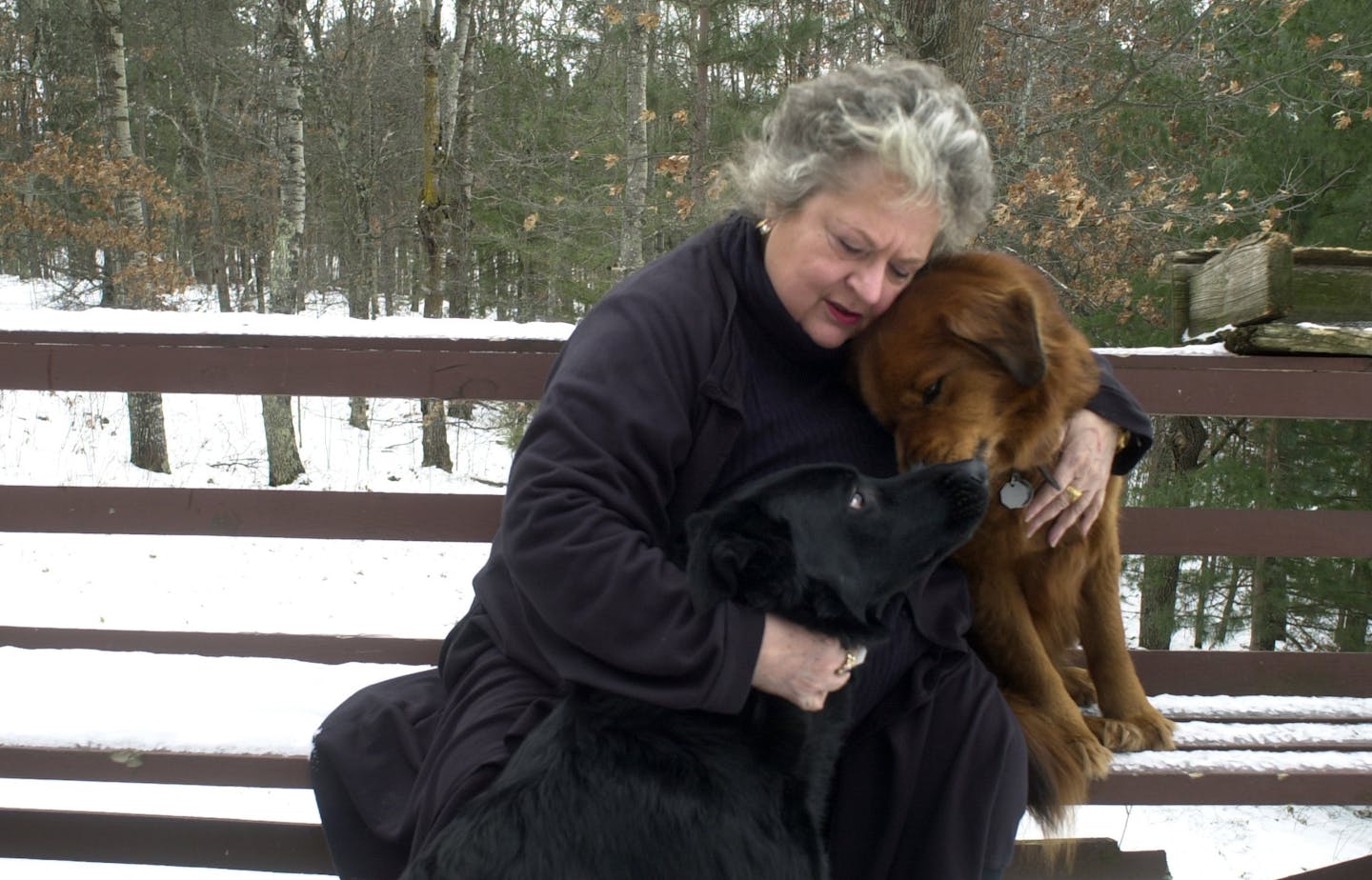 GENERAL INFORMATION: Monday, December 31, 2001-Webb lake-For more than 2 decades, Allison Boisvert has been what one observer calls, ``the Monty Hall of social services,'' a vocal advocate pitchman for society's least desirable people.
IN THIS PHOTO: With allergies and all Allison Boisvert gives out love and hugs to her two dogs Teddy, the five year-old brown chow and Witch, the four year-old black German shepherd on their porch over looking a glacier lake near Danbury, Wisconsin. "This is our h