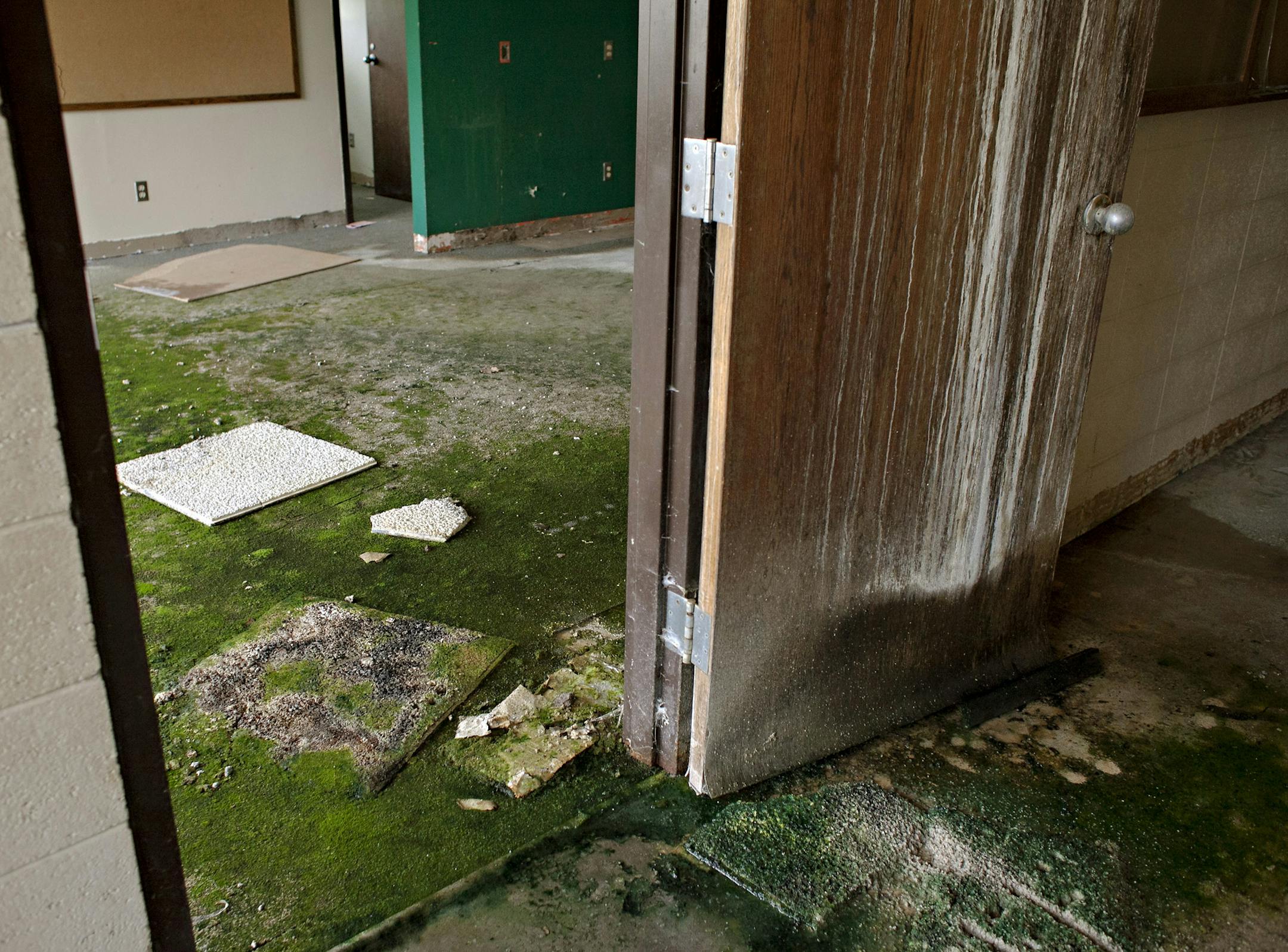 What was once a classroom is now home to water damage and mold at the Sandstone School in Sandstone, Minn. (Ann Arbor Miller for MPR)