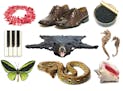 The bounty: Sea coral for jewelry, caviar, shoes made from snake or alligator skins, exotic pets, and elephant ivory are a few of the plants and anima