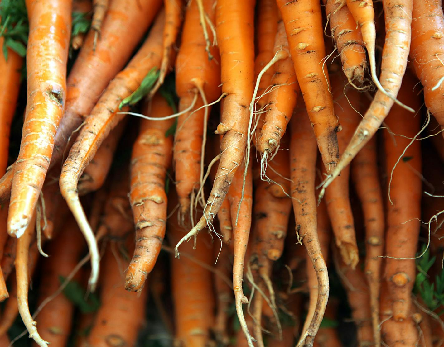 Carrots at a farmers market.