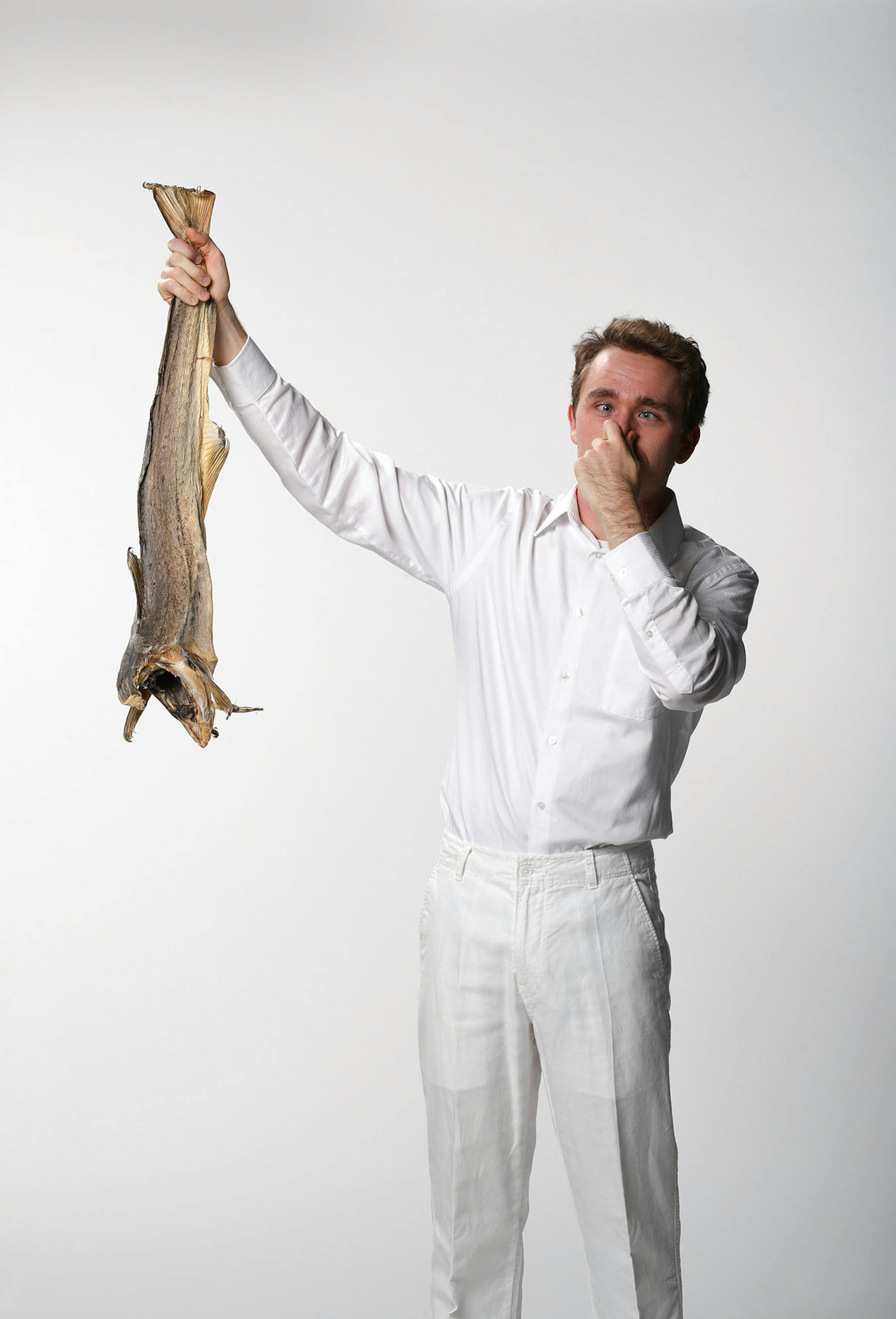Nels Thompson with a dried cod, the basis of many a Scandinavian holiday meal. ] JEFF WHEELER ï jeff.wheeler@startribune.com Nels Thompson took over planning the traditional Scandinavian holiday meal at his church with the intent of making it appeal to twentysomethings like himself. He was photographed with dried cod in the StarTribune studio on Thursday afternoon, November 3, 2016.