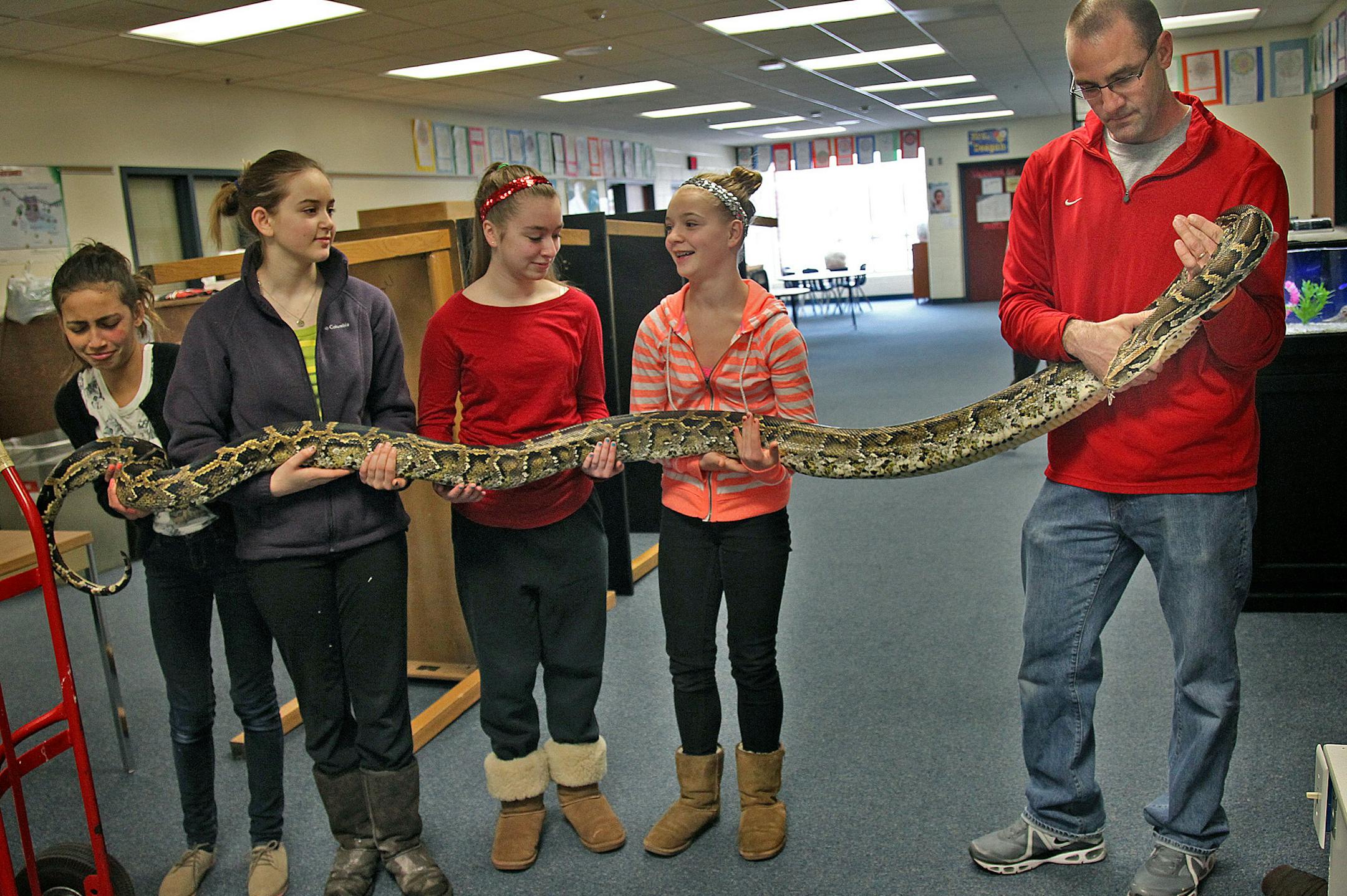Heritage E-STEM Magnet School Marine Club members Bella Nelson, 12, left, Julia Michienzi, 13, Kailey Sell, 13, Savannah Hinderscheid, 13, and teacher Terry Doud, took a day from their Spring Break to pet "Kaa" the club's Burmese Python, Tuesday, March 26, 2013. The club started with kids taking care of some fish and now has expanded to a large collection of animals and a hundred kids who are involved in the club. (ELIZABETH FLORES/STAR TRIBUNE) ELIZABETH FLORES • eflores@startribune.com
