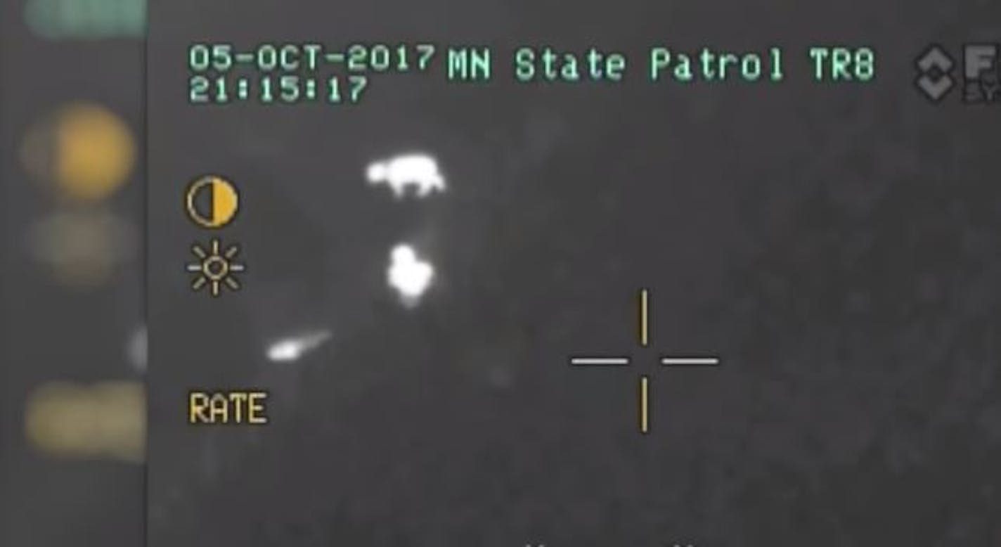 A screengrab from a State Patrol helicopter video shows the dog walking around the lost toddler.