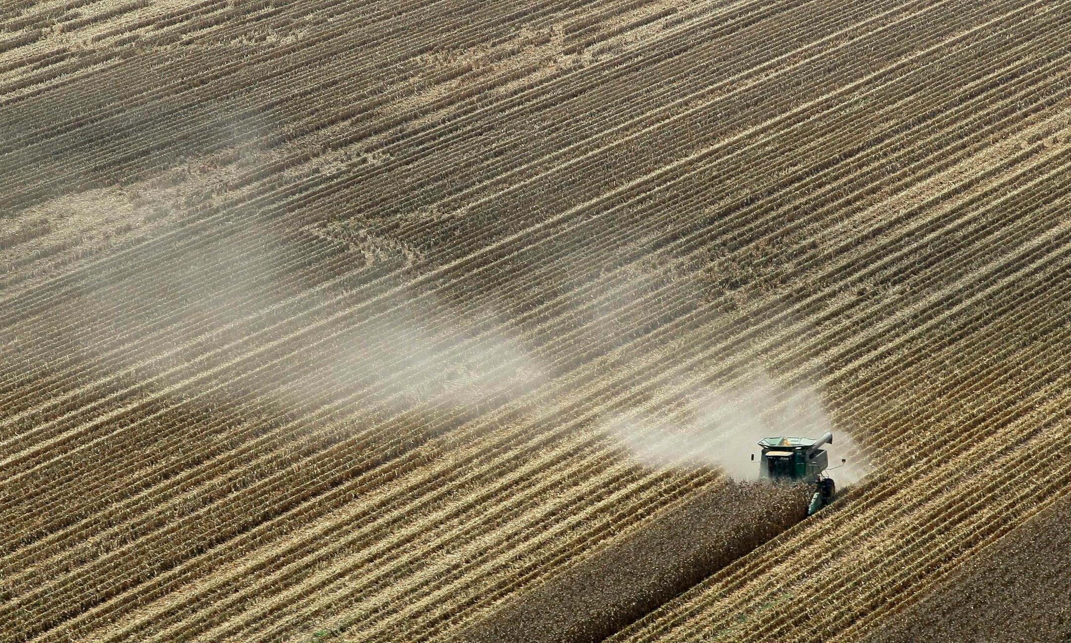 In this Aug. 16, 2012 file photo, dust is carried by the wind behind a combine harvesting corn in a field near Coy, Ark. A brutal combination of a widespread drought and a mostly absent winter pushed the average annual U.S. temperature last year up to 55.32 degrees Fahrenheit, the government announced Tuesday, Jan. 8, 2013. Breaking temperature records by an entire degree is unprecedented, scientists say. Normally, records are broken by a tenth of a degree or so.