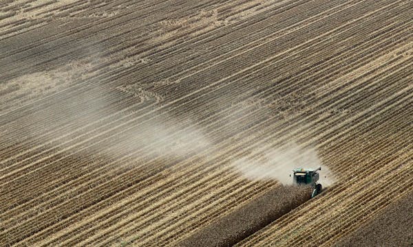 In this Aug. 16, 2012 file photo, dust is carried by the wind behind a combine harvesting corn in a field near Coy, Ark. A brutal combination of a wid