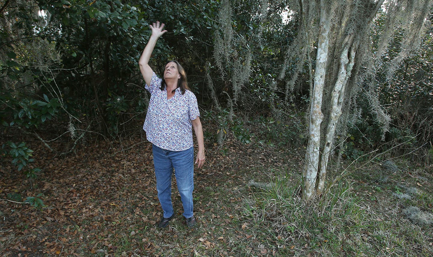 Trish Bishop shows the spot in the backyard of her Kissimmee, Fla., home on February 1, 2019, where she claims to of witnessed an alien and UFO hovering 10-feet above the ground in March 2013. (Rich Pope/Orlando Sentinel/TNS)