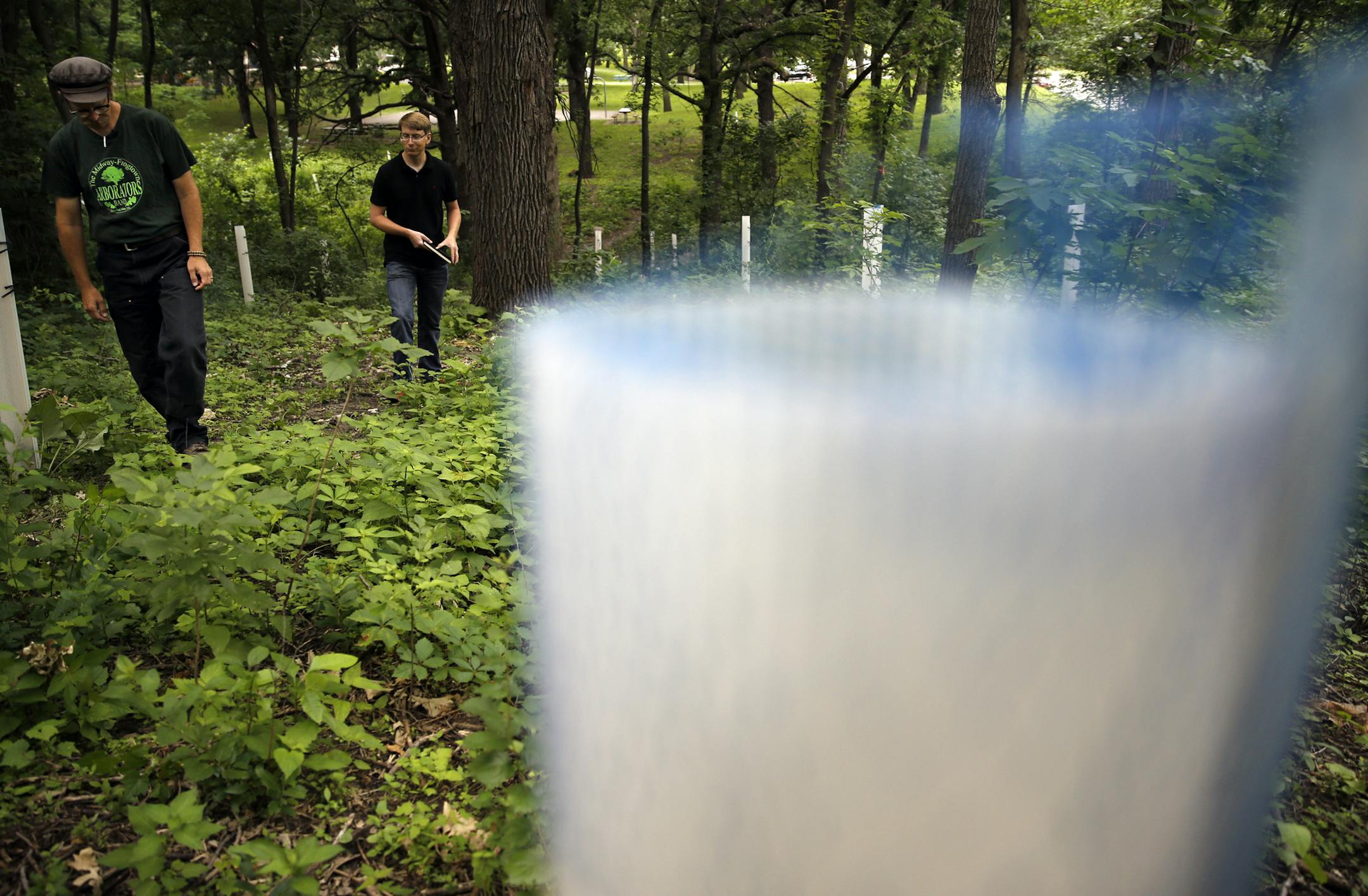 At Newell Park in St. Paul, The Minneapolis park board is considering tree tube technology has already been tried in St. Paul to help nurse trees from seedlings due to ravages to the urban canopy. Scientist Chad Giblin and St. Paul forestry's Zach Jorgensen show the roughly 3.5 acres that have been planted with seedlings of Burr oak, ironwood, and padoga dogwood protected by tree tubes.] tsong-taataarii@startribune.com