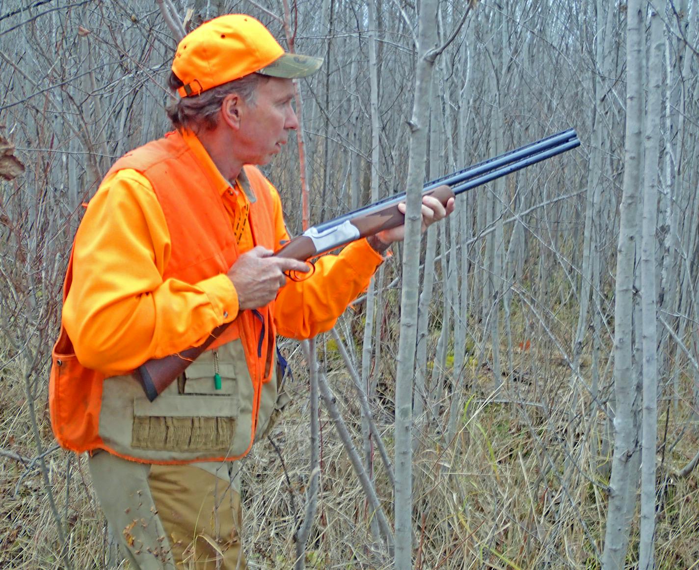 Bill Marchel, who lives near Brainerd, anticipated the rising of a woodcock or grouse in a stand of young aspen interspersed with hazel thickets.