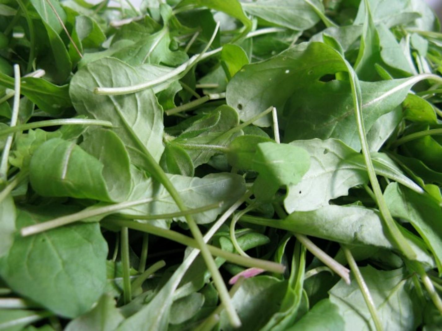 Arugula makes a snappy addition to ravioli.