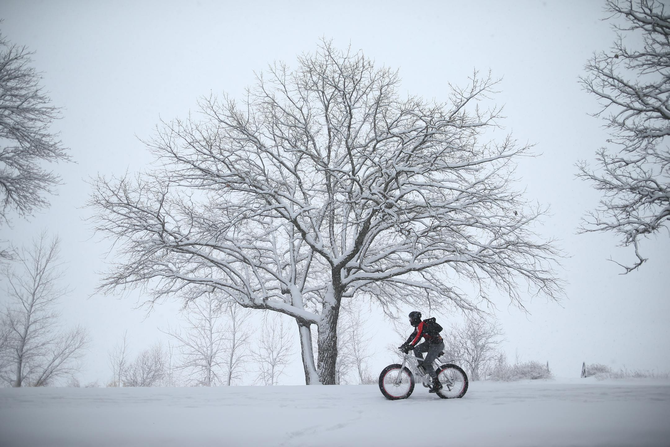 A cyclist rode around Lake Harriet as snow continued accumulating Tuesday afternoon.