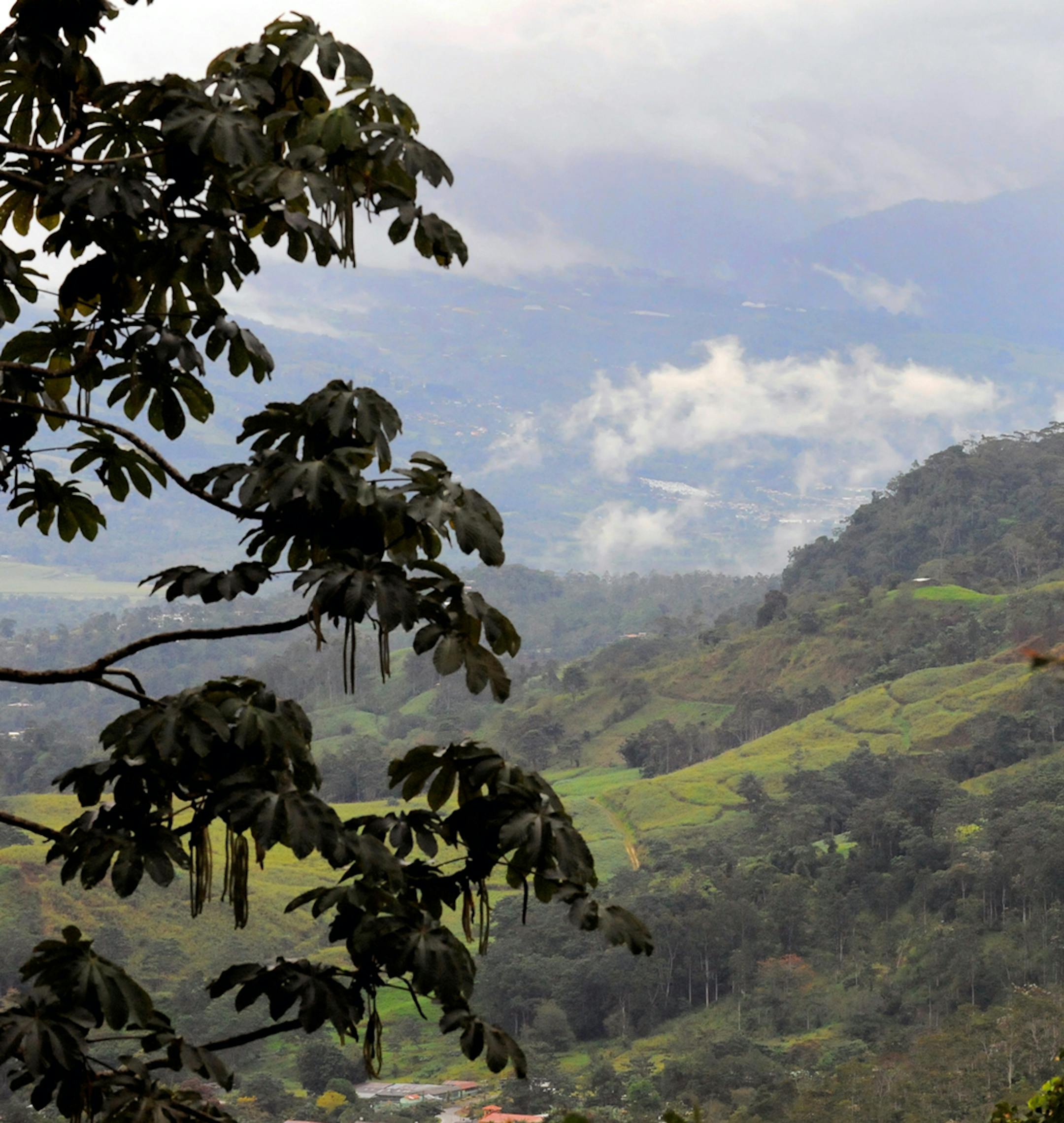 Costa Rican landscape credit: Jim Williams, special to the Star Tribune
